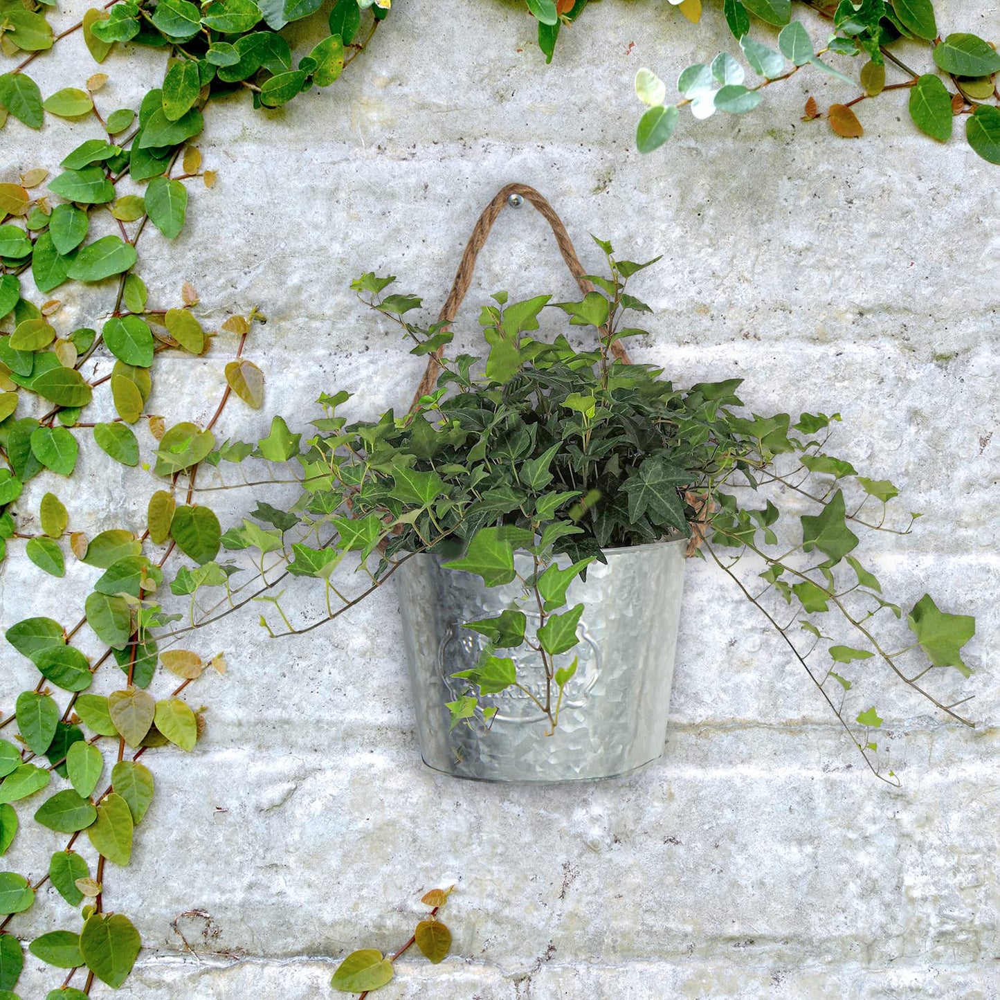 XONOR 4Pcs Galvanized Metal Hanging Wall Planter, Rustic Wall Flower Vase for Succulents Herbs Country Home Farmhouse Wall Decoration (1)