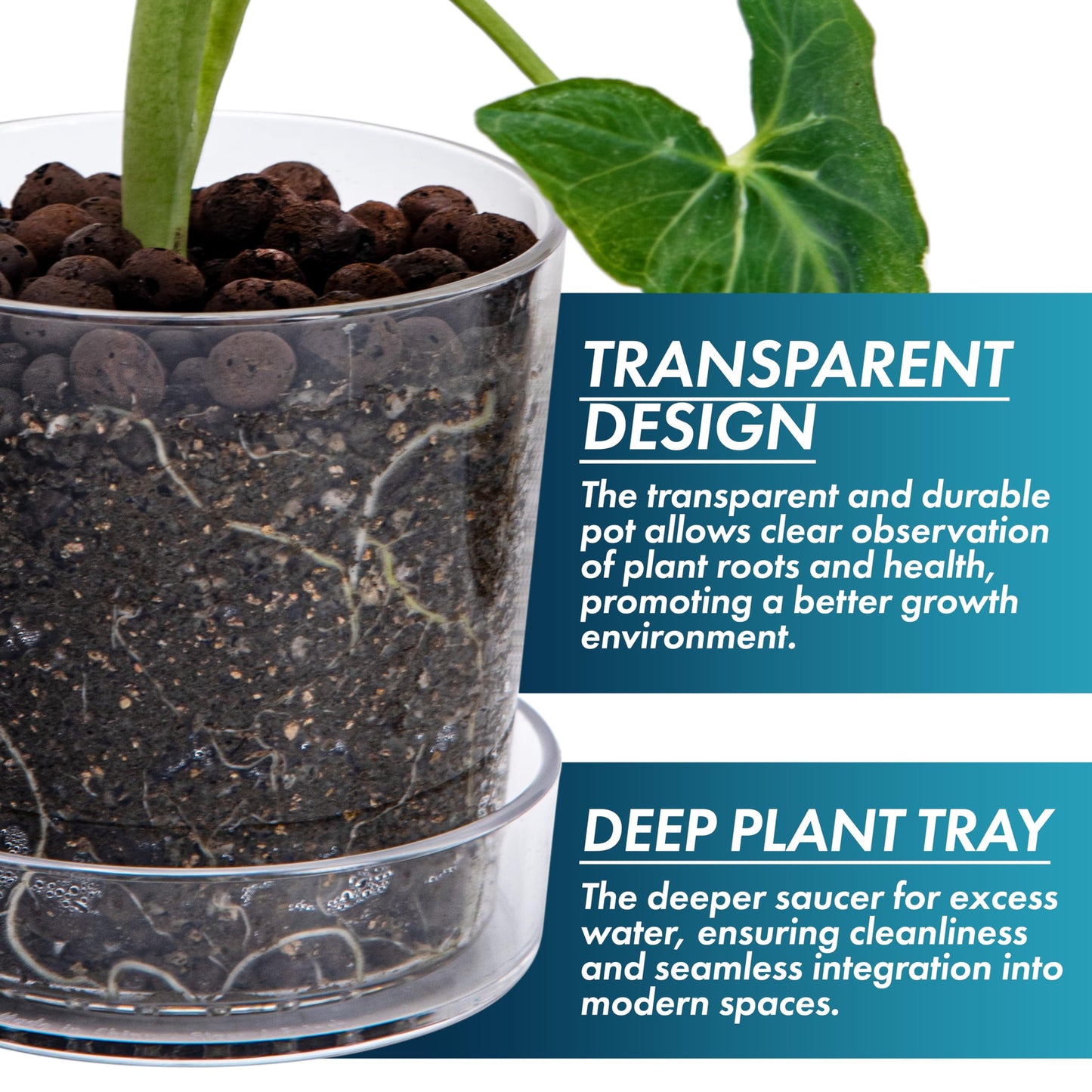 Phoenix Vine 3.5 Inch 4.5 Inch Clear Acrylic Houseplants Planter Pot with Tray, Orchid Pot with Drainage Holes, Deep Saucer for Bottom Watering, Transparent Containers for Indoor Plants, Herbs, 91-B-V