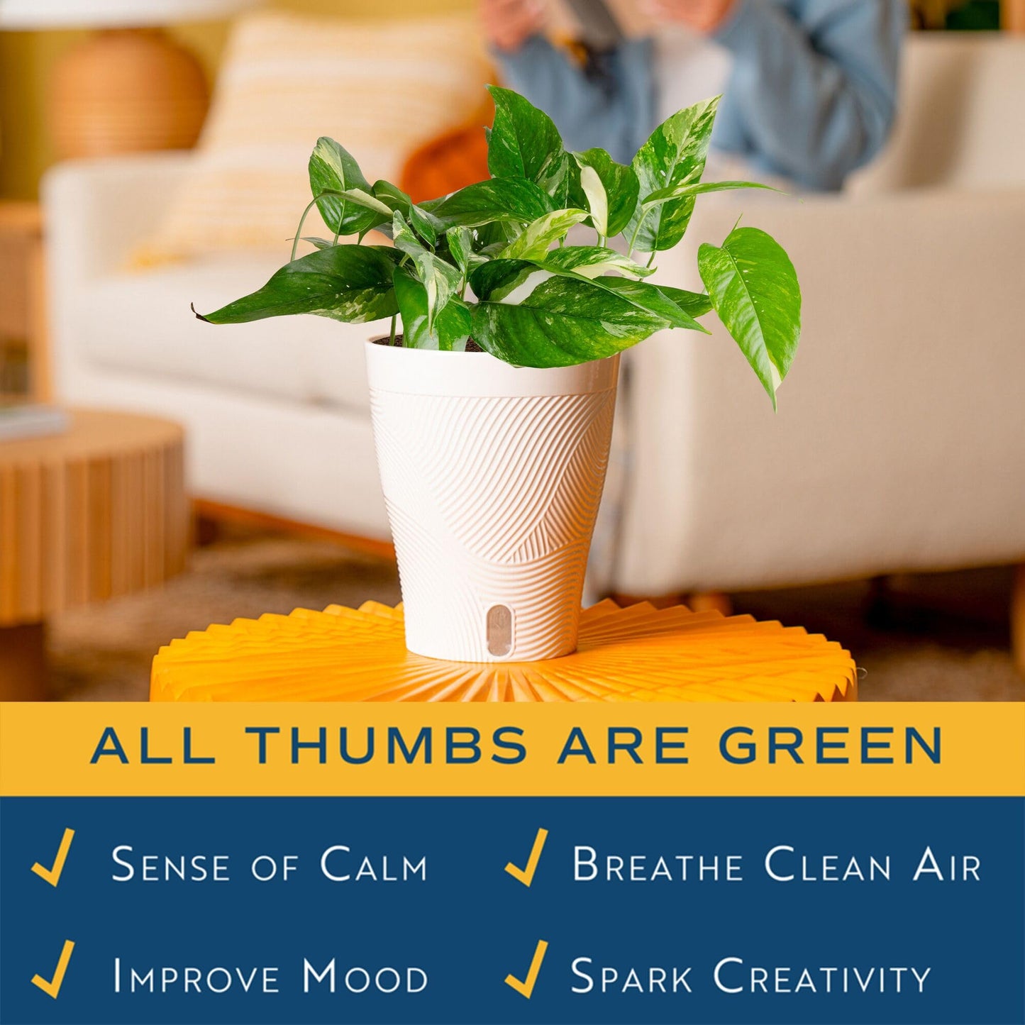 Costa Farms Albo Variegated Pothos Live Plant in Self Watering Pot, Air Purifying Indoor Houseplant, Perfect for Home, Room, or Office Decor, Great House Warming or Birthday Gift, 12-18 Inches Tall