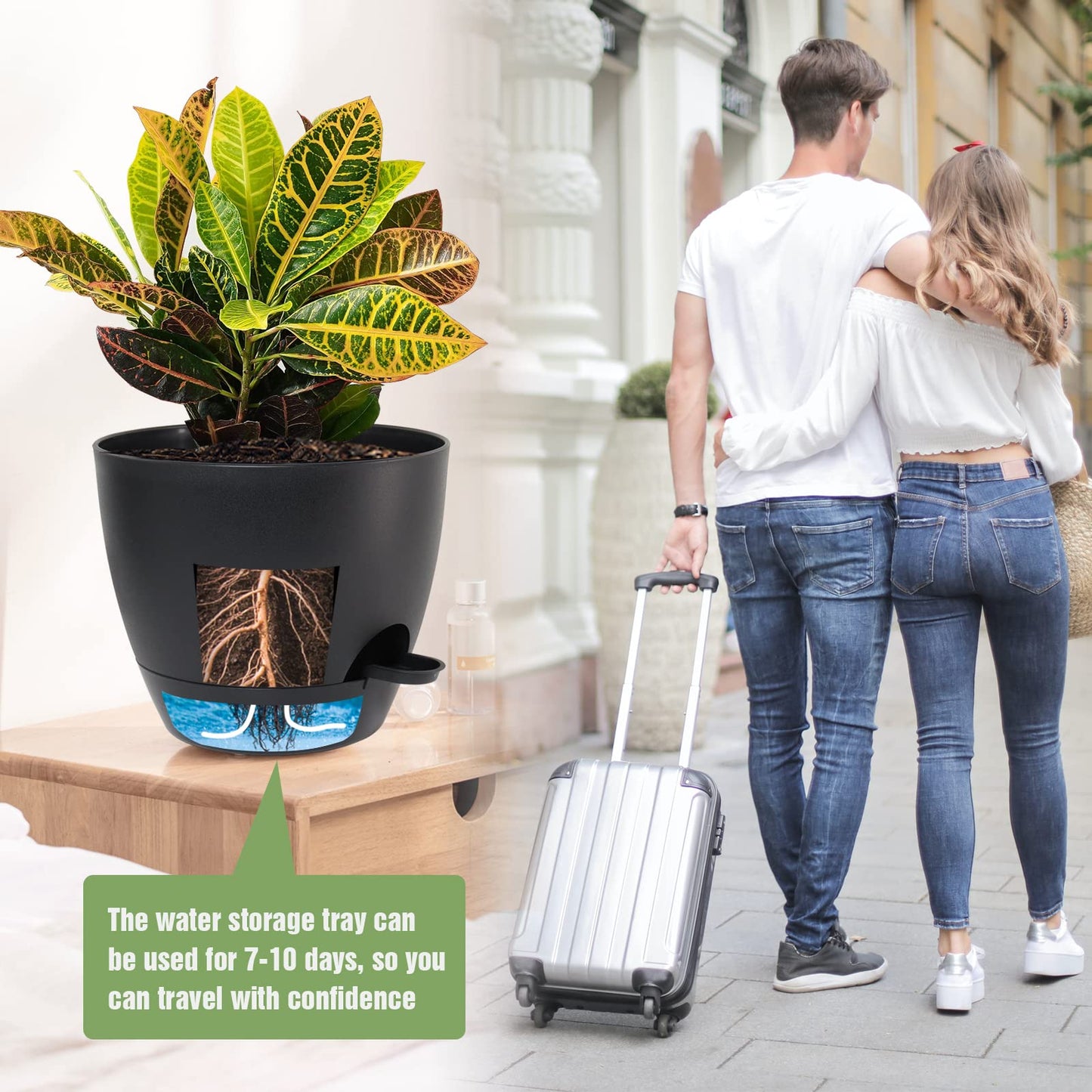 UOUZ Large Self Watering Pots, 12/10/9 Plastic Planters with High Drainage Holes and Deep Reservoir for Indoor Outdoor Garden Plants and Flowers, Black
