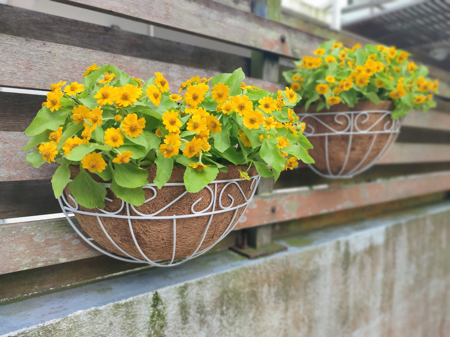 LaLaGreen Wall Mounted Flower Baskets (2 Pack, 14 Inch) Large Wall Hanging Planter with Coco Liner for Outdoor Plants, White Metal Fence Pots Holder Rail Railing Deck Porch Balcony Garden Patio Decor