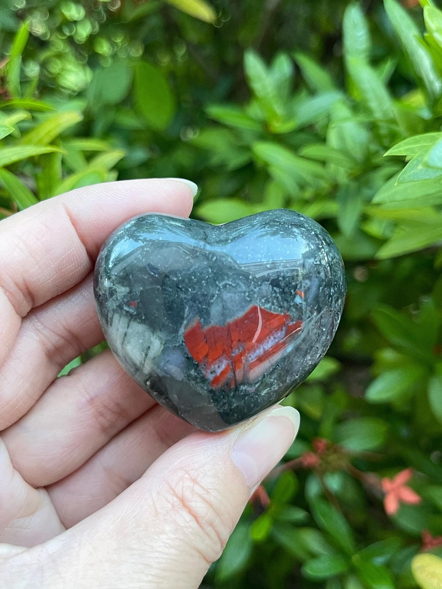 GAF TREASURES Bloodstone Gemstone Hearts, Polished Bloodstone Puffy Hearts, Bloodstone Crystal Palm Stone, Bloodstone Healing Crystal Hearts (1 Heart)