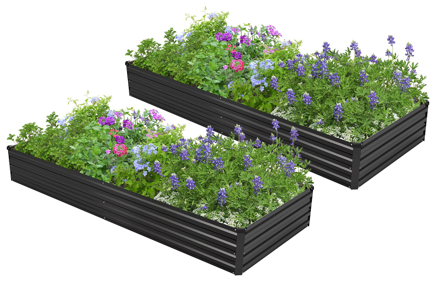 Easllre 2PCS 6x3x1ft Galvanized Raised Garden Bed,Outdoor Planter Box Metal Patio Kit Planting Bed for Vegetables Flowers Herb,Black