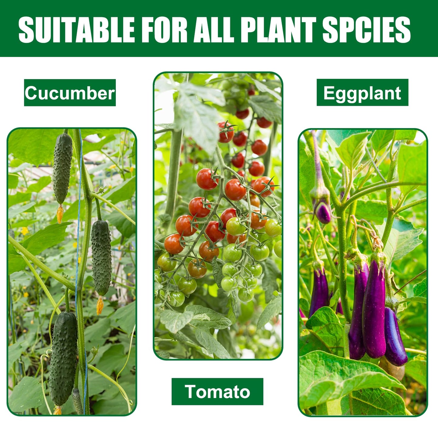 TINGYUAN Garden Stakes 36 Inches Steel Plant Stakes Tomato Stakes 3ft Pack of 25