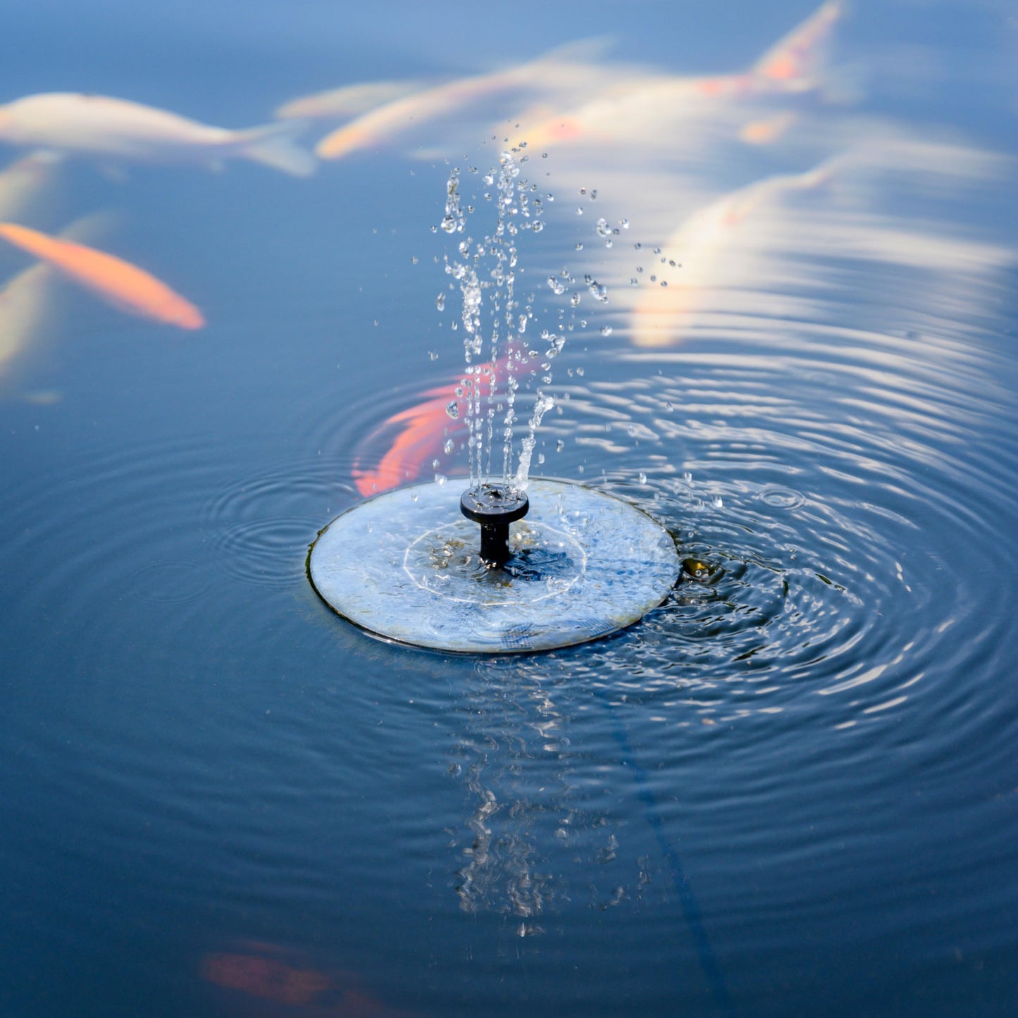 Solar Fountain, Solatec Solar Powered Bird Bath Fountain Pump 1.3W Solar Panel Kit Water Pump,Outdoor Watering Submersible Pump for Pond, Pool, Garden, Fish Tank, Aquarium