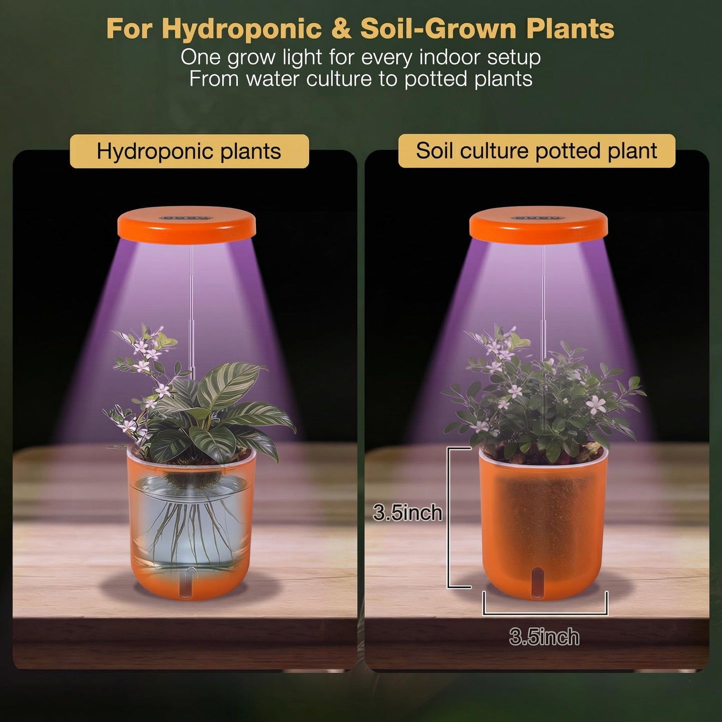 Raygrov Self-Watering Planter with Grow Light — Cute Desk Plant Pot for Office, Bedroom & Window — No Green Thumb Needed, 2-in-1 Wall + Desktop, USB Powered (5W LED, White)