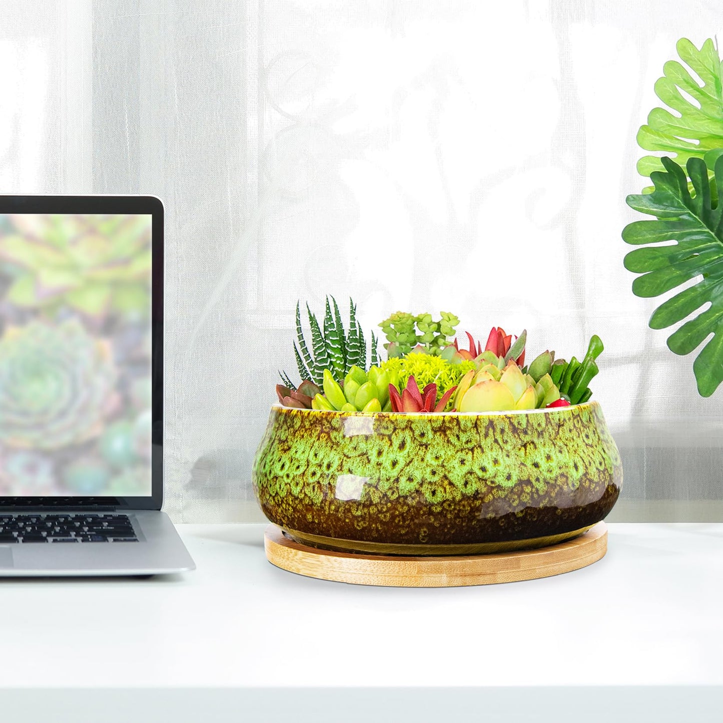 ARTKETTY Succulent Pots - Ceramic Bonsai Pots with Drainage, Large Shallow Succulent Planters for Indoor Outdoor Plants, Round Glazed Cactus Flower Plant Container Bowl Home Desk Decor