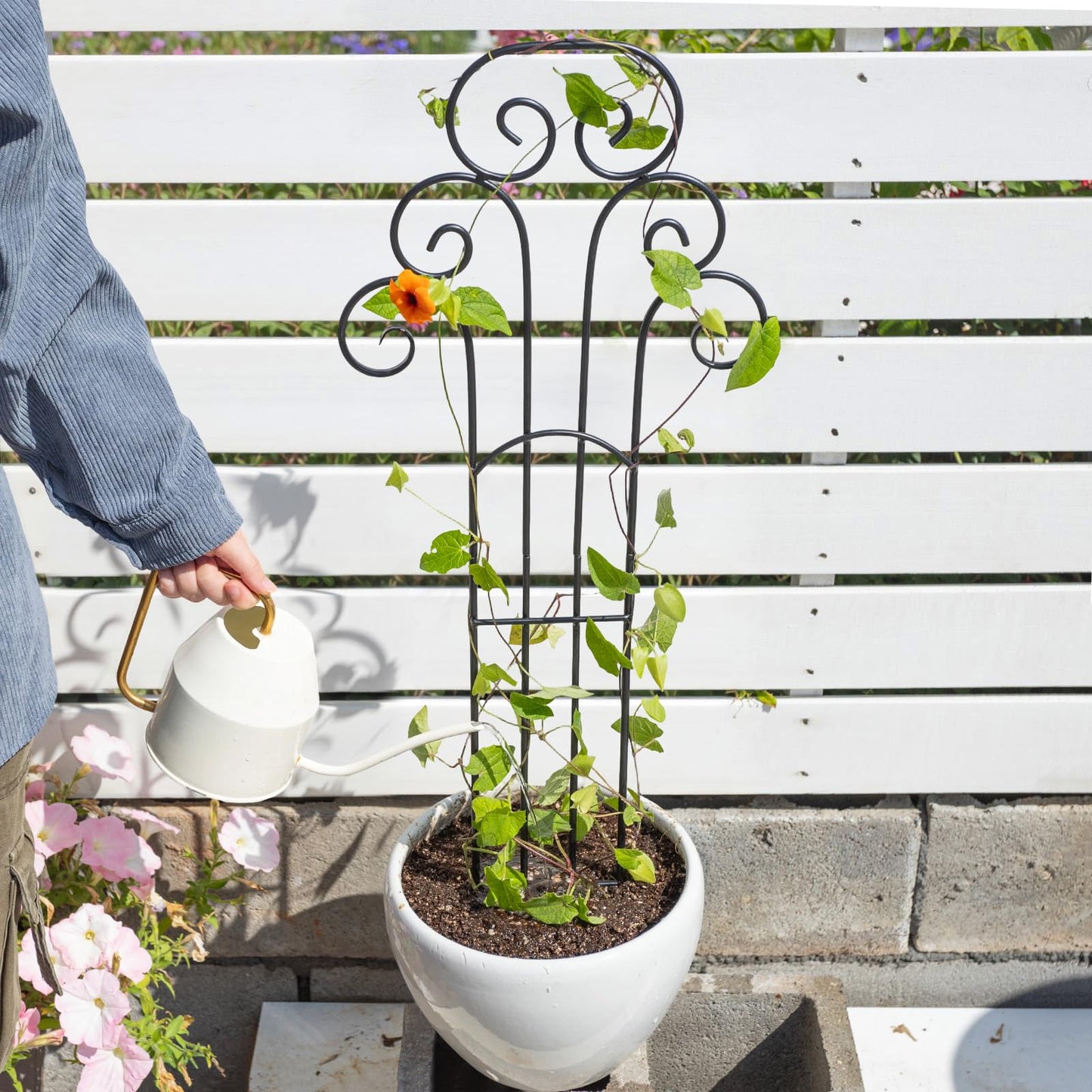 GOOOXIM 31 Inch Trellis for Potted Plants - Iron Plant Support for Climbing Vines and Houseplants, Ideal Garden Stake for Monstera and Medium Plants, Perfect for Indoor and Outdoor Use