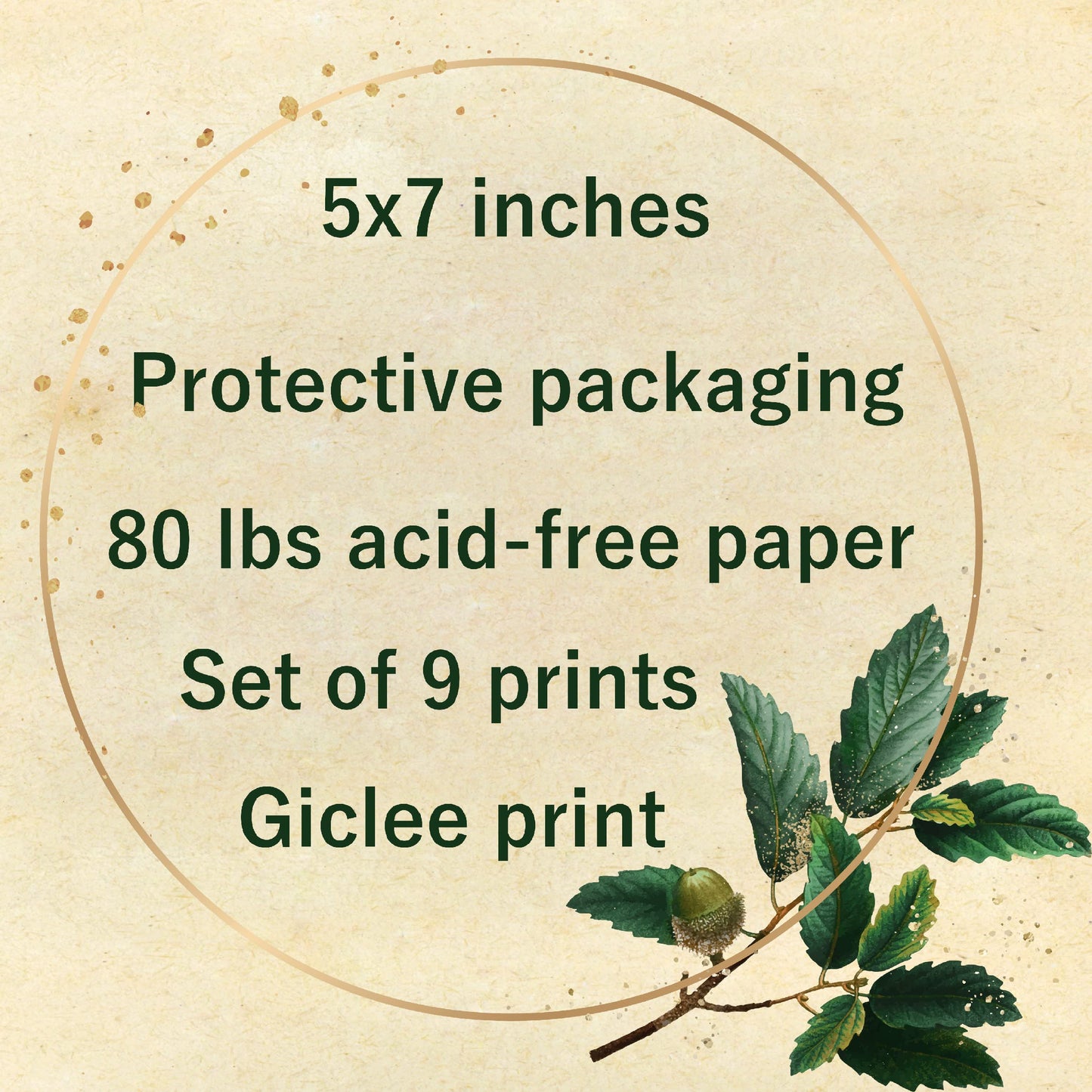 Ink Inc. Botanical Prints Wall Art Woodland Plants - Fern Wildflower Mushroom - Set of 9 5x7- Unframed