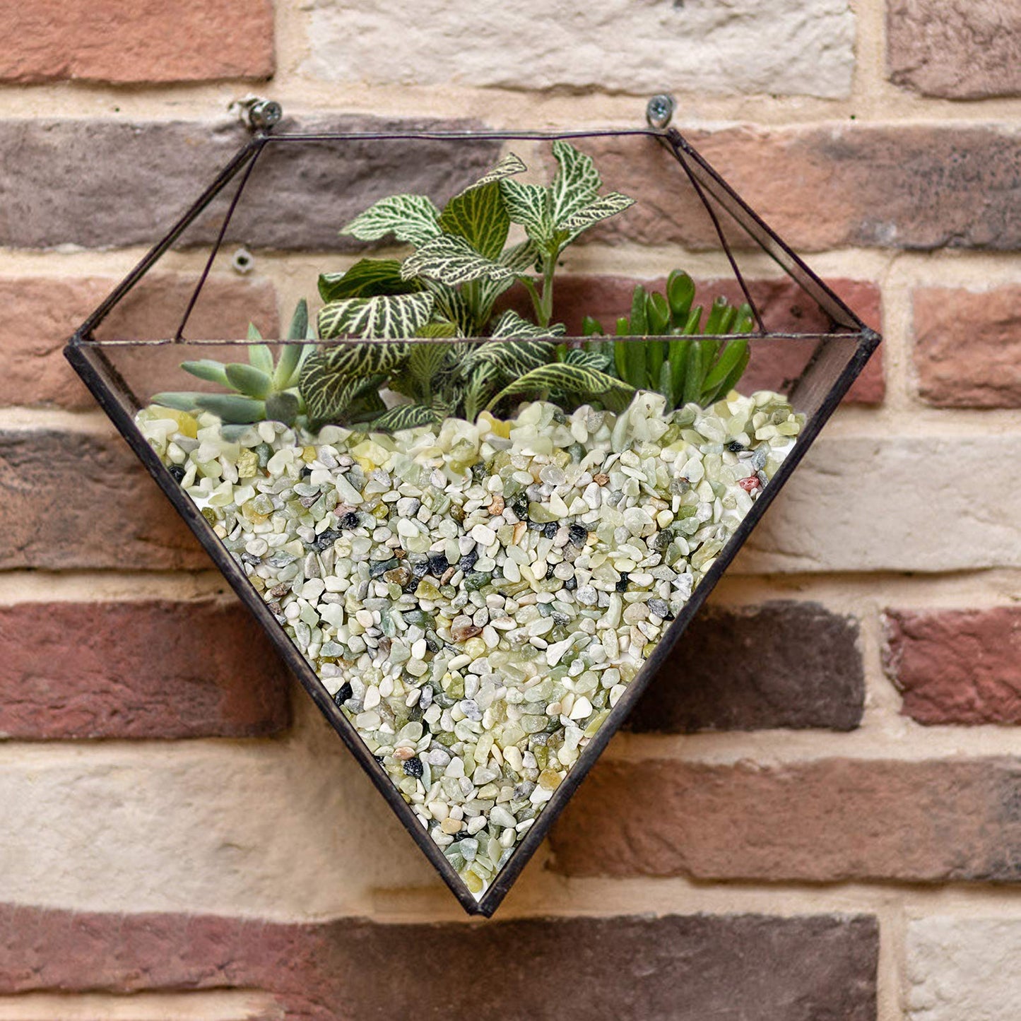 5LB Succulent and Cactus Bonsai DIY Rocks, Jade Bean Pebbles, Natural Decorative Polished Stones Vase Fillers Gravel for Plants，Terrarium , Fairy Gardening, Indoor Outdoor Decor Ornamental Stones.