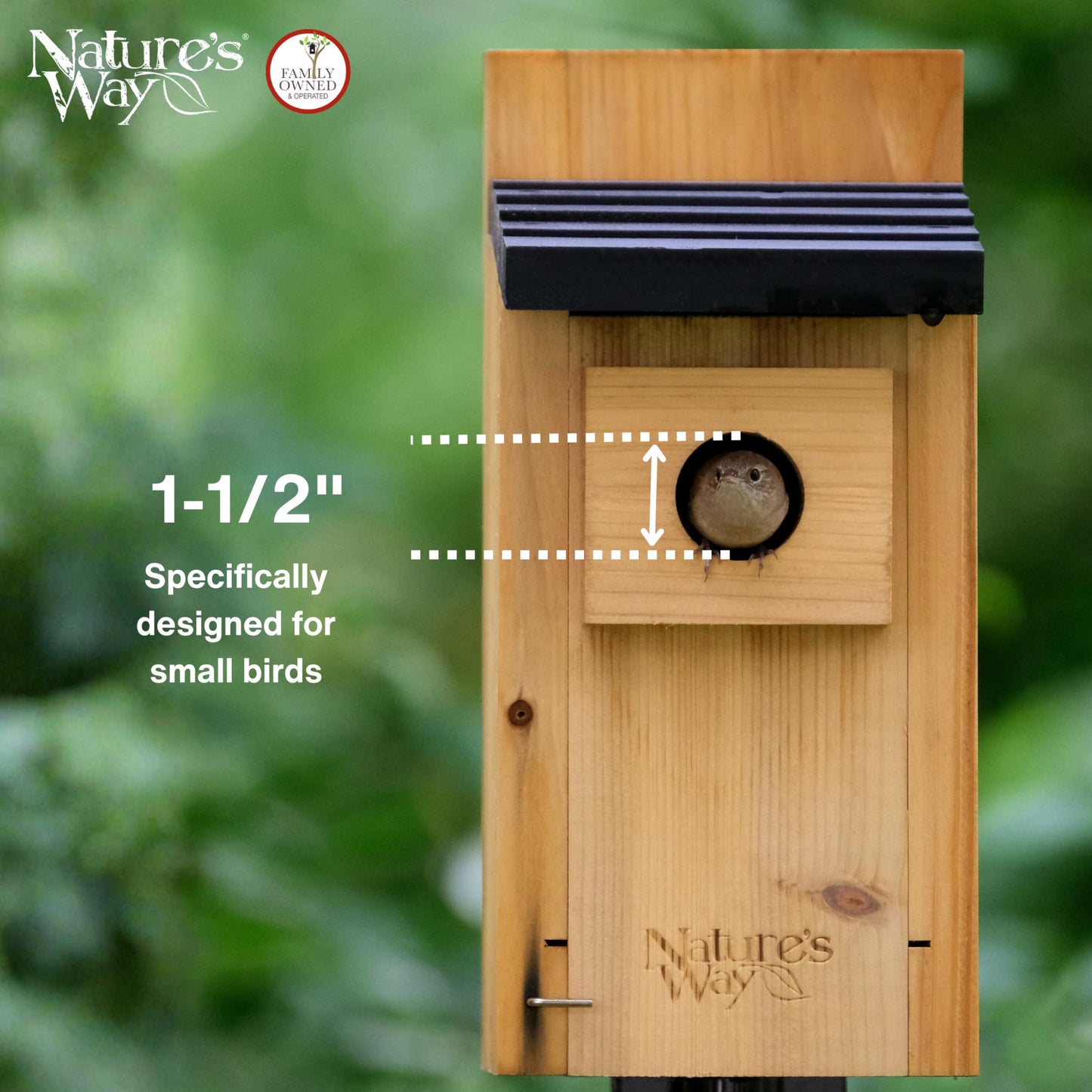 Wild Wings WWCH3 Cedar Blue Bird Box House