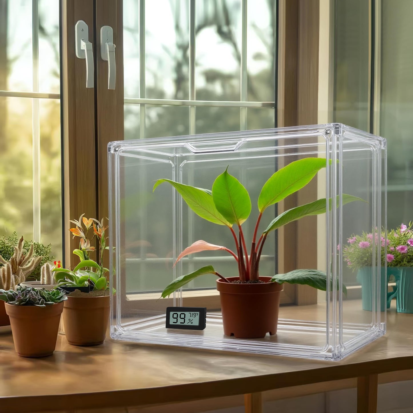 HBlife Mini Greenhouse for Indoor, Clear Stackable Green House with Magnetic Waterproof Door for Small Plants Nursery Germination, Tabletop Portable Greenhouse, 14.1x8.6x10.6 Inch (2 Pack)