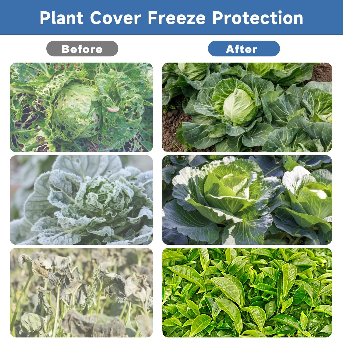Plant Covers Freeze Protection,10 ft x 20 ft 1.1oz/yd² Thicker Floating Row Blanket Cover Fabric Plant Cloth for Winter Frost Snow and Garden Protection