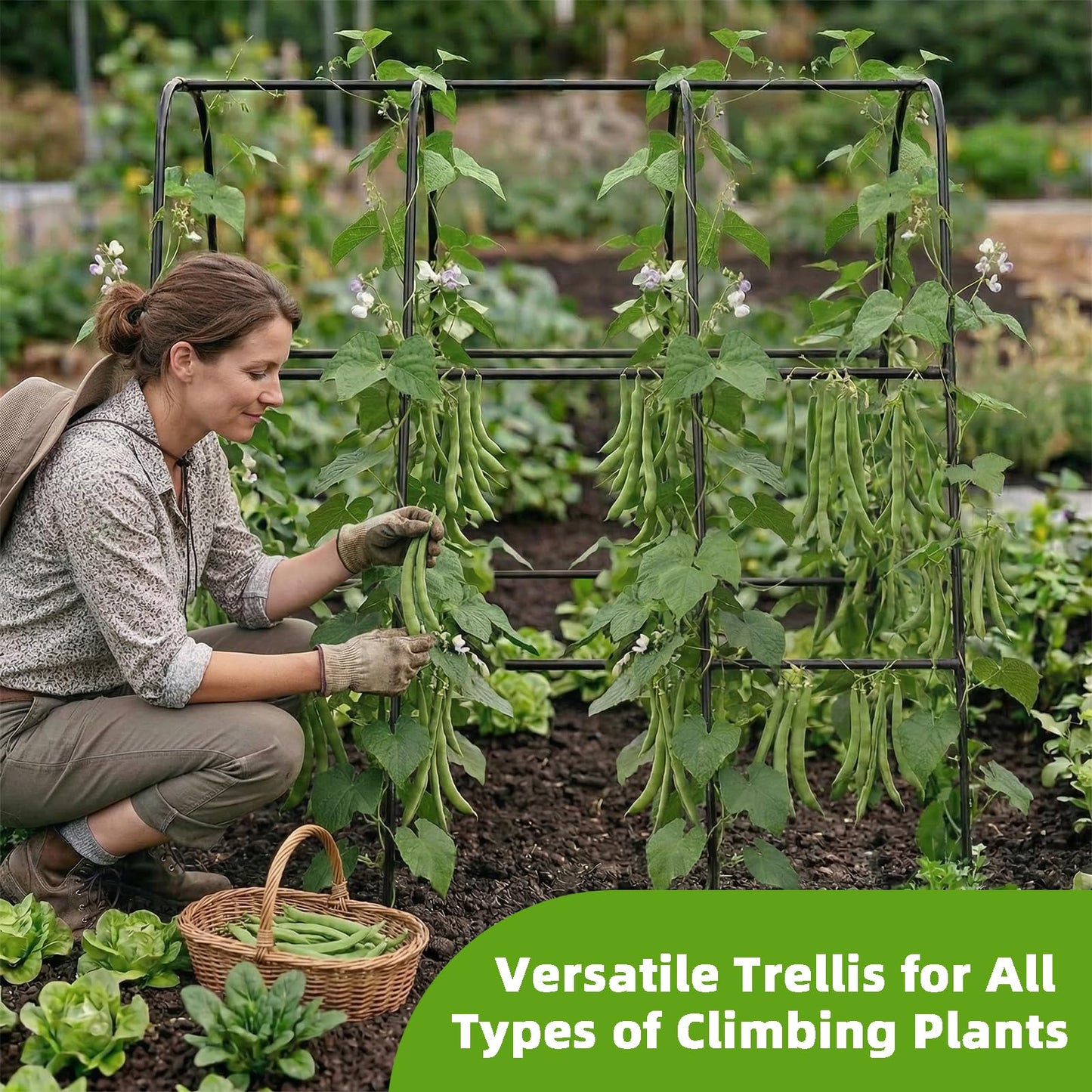 Garden Arch Trellis for Climbing Plants, Plastic-Coated Steel Trellis with Easy-Connect System, Includes Net, Ties & Gloves, Outdoor Plant Support for Vegetables (47.2" L x 47.2" H)