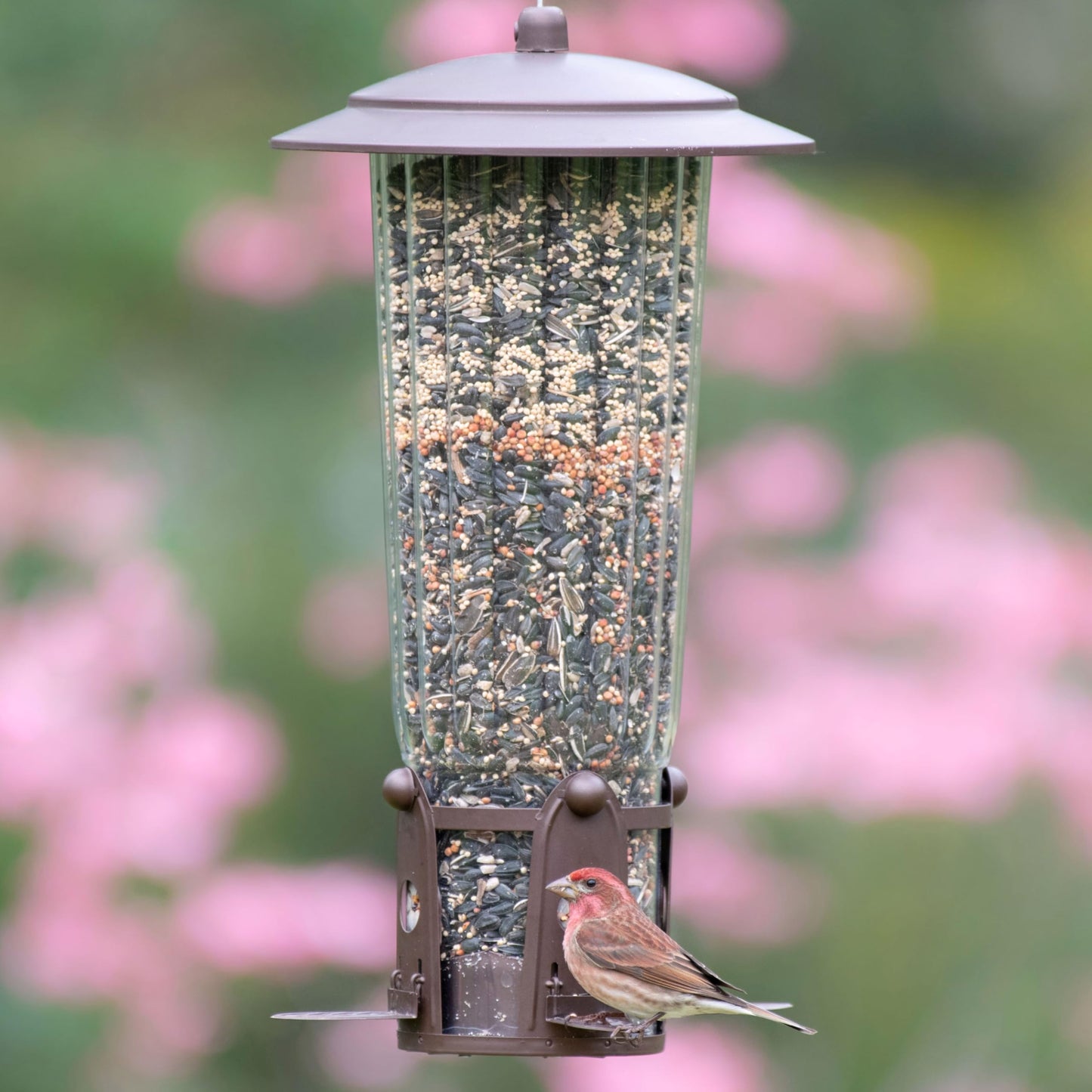 Perky-Pet 334-1SR Squirrel-Be-Gone Max Large Wild Bird Feeder with Flexports, Squirrel Proof Bird Feeder with Weight-Activated Perches - 4LB Seed Capacity