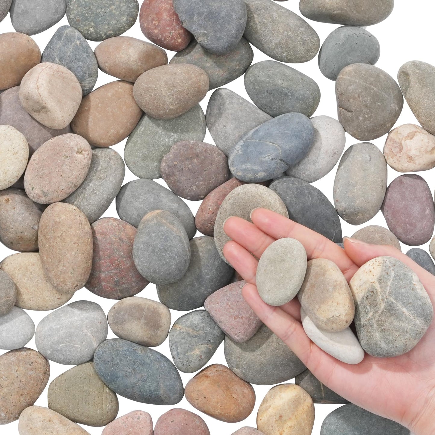 FAHAXIKI Natural River Rocks-40 lbs of Pebbles and River Stones,1-2 Inch Plant Rocks for Landscaping,Garden Paving,Crafting,Walkways,and Outdoor Decorative Stone,Mexican Beach River Rocks