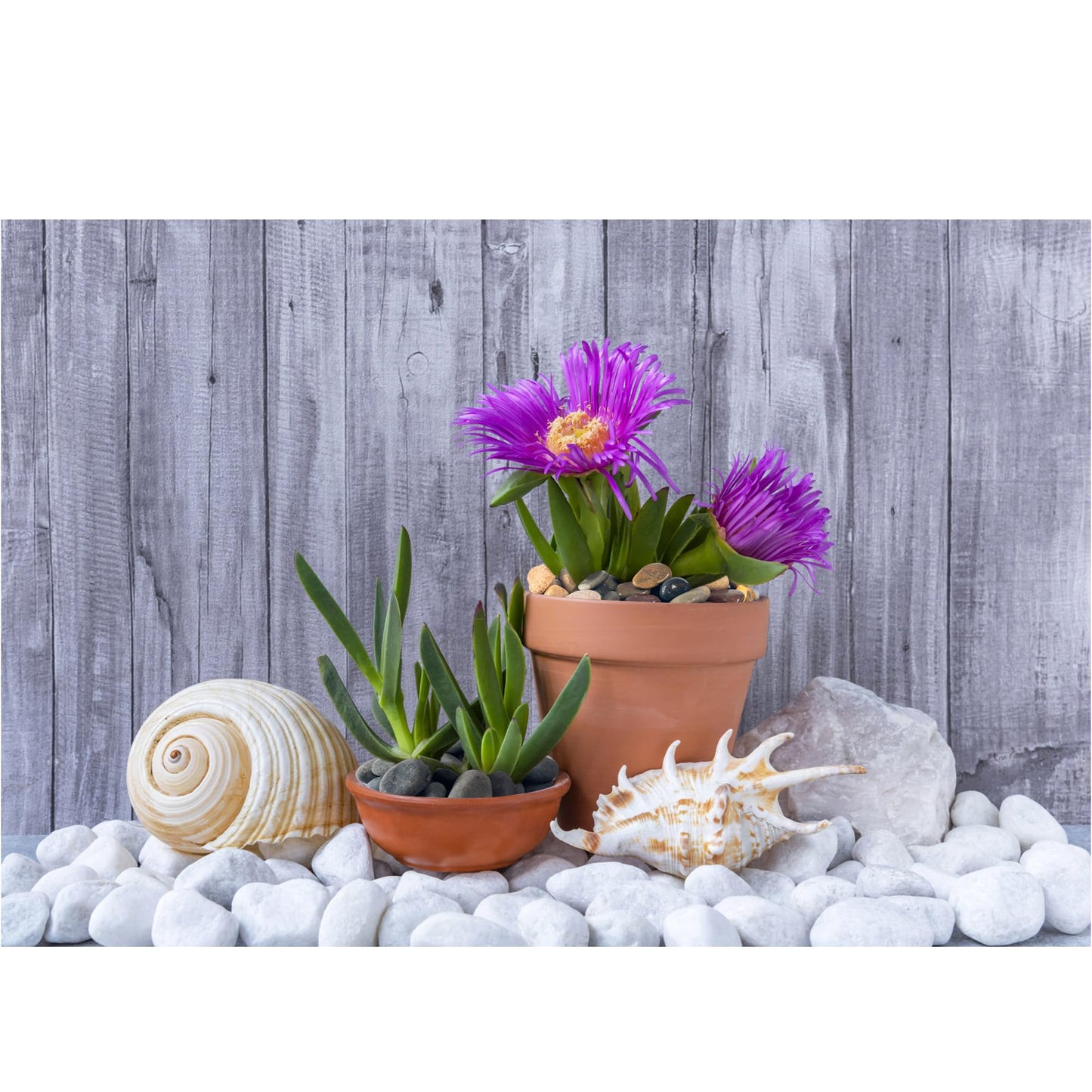VINICS Large River Rocks for Landscaping 20lbs, 3-4 Inch White River Rocks, Hand-Picked Natural Stones for Garden Design Fish Tank, Pathways and Backyard