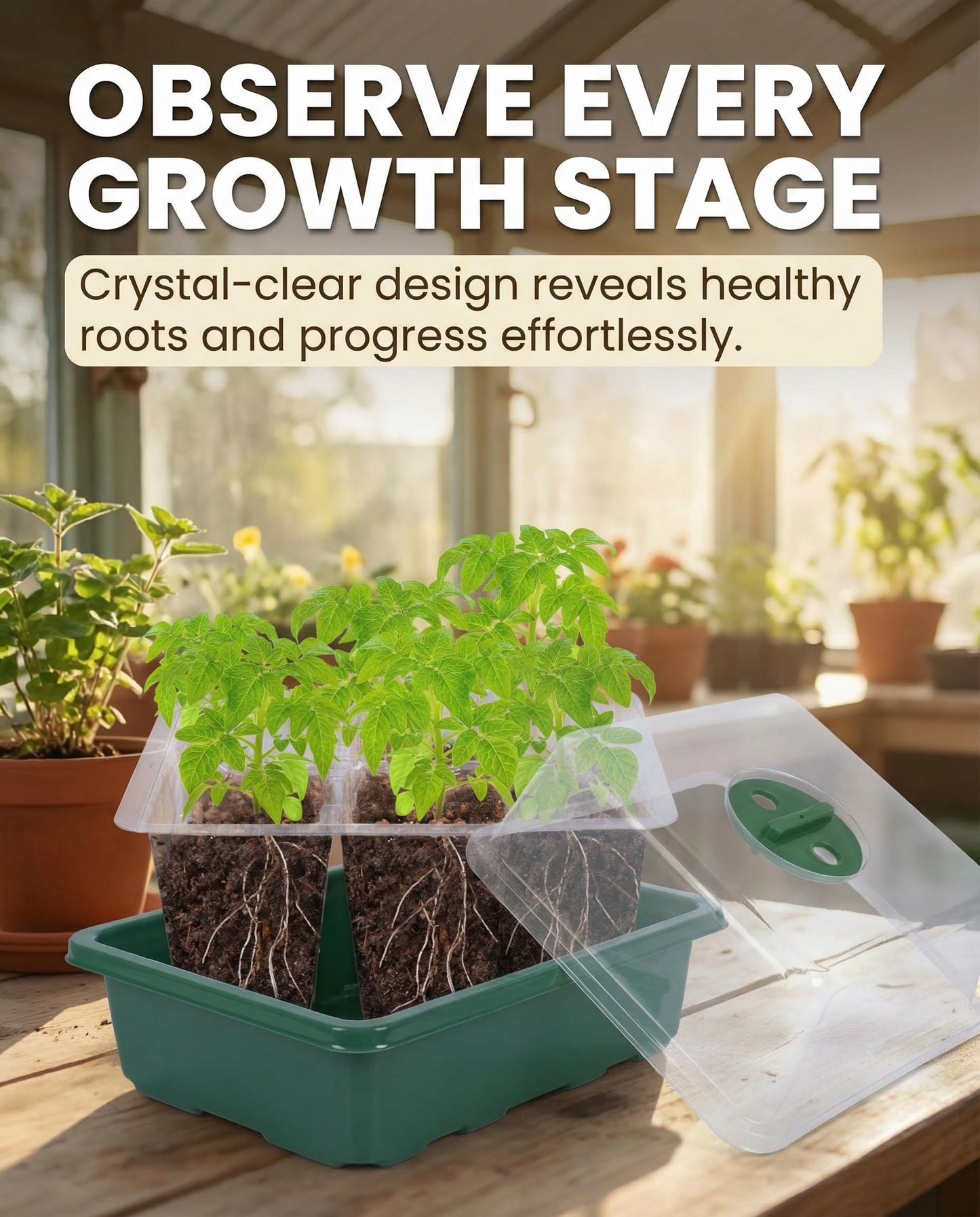 NACNO 10 Packs Seed Starter Tray Seed Starter Kit with Humidity Dome (120 Cells Total Tray) Seed Starting Trays Plant Starter Kit and Base Mini Greenhouse Germination Kit for Seeds Growing Starting