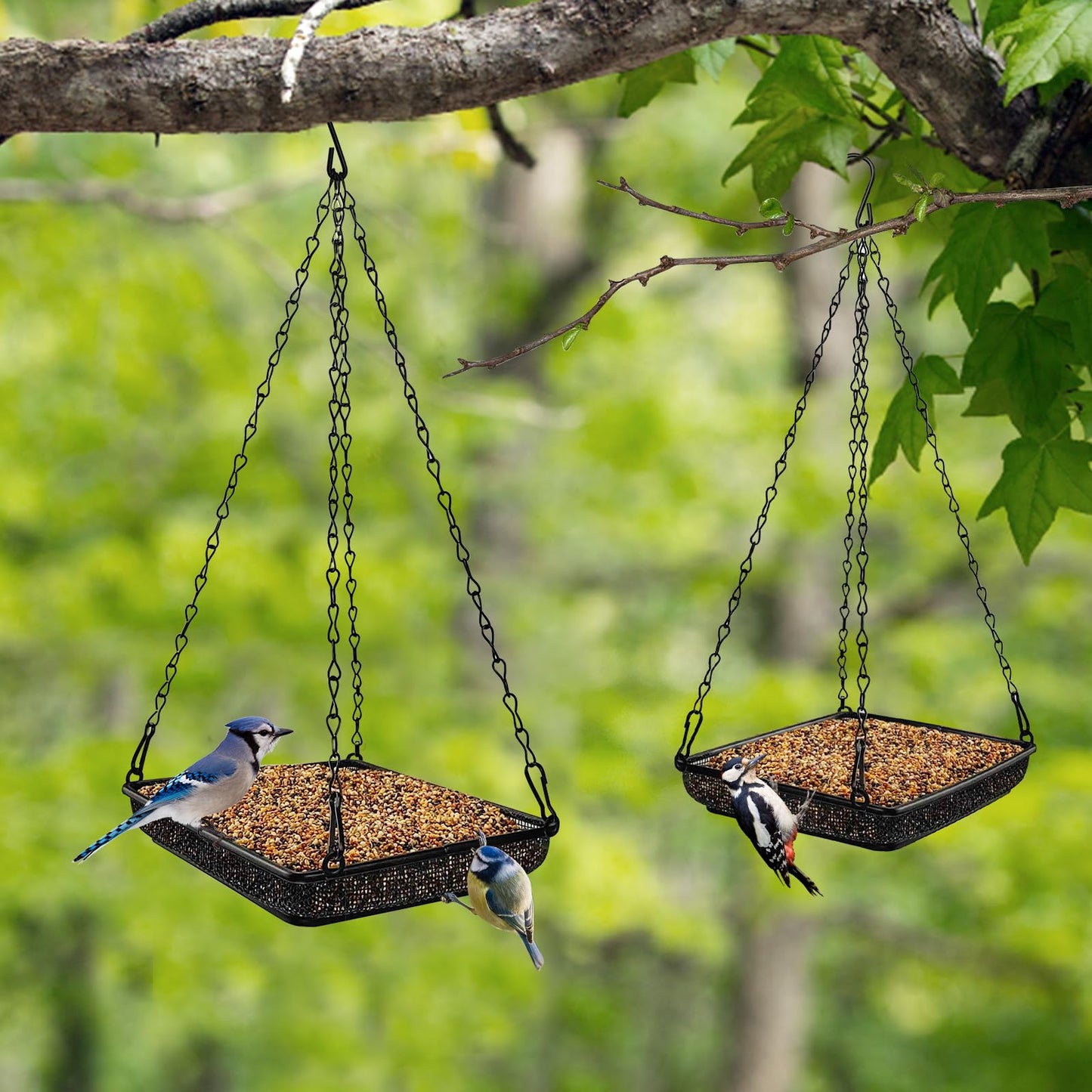 MIXXIDEA Hanging Bird Feeder Tray Metal Mesh Platform Seed Feeder with Durable Chains for Outdoors Garden Great for Attracting Birds (2 Pack)