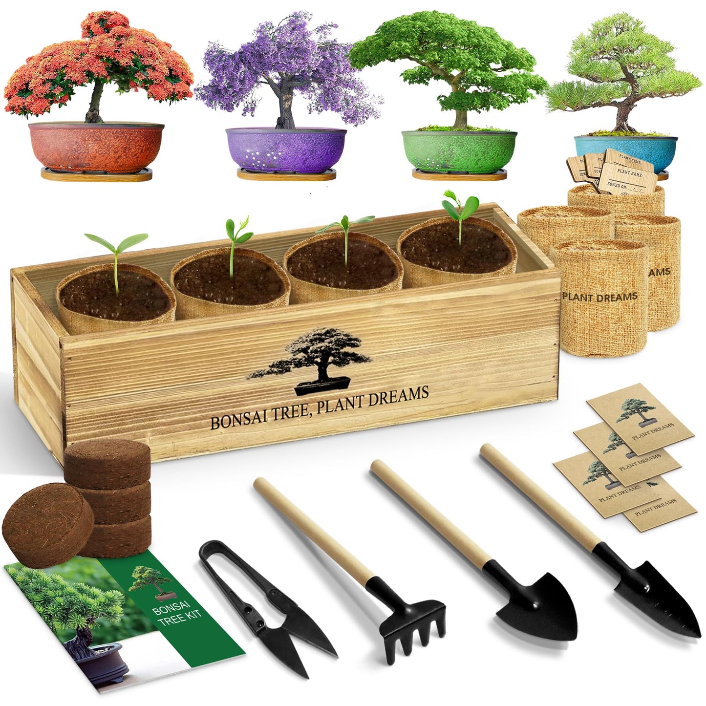 LUOJIBIE Bonsai Tree Kit, Complete Bonzai Tree Starter Kits, for Mom, Unique Christmas Birthday Gardening Gifts for Women Mom Men Grandkids, Crafts Hobby Kits