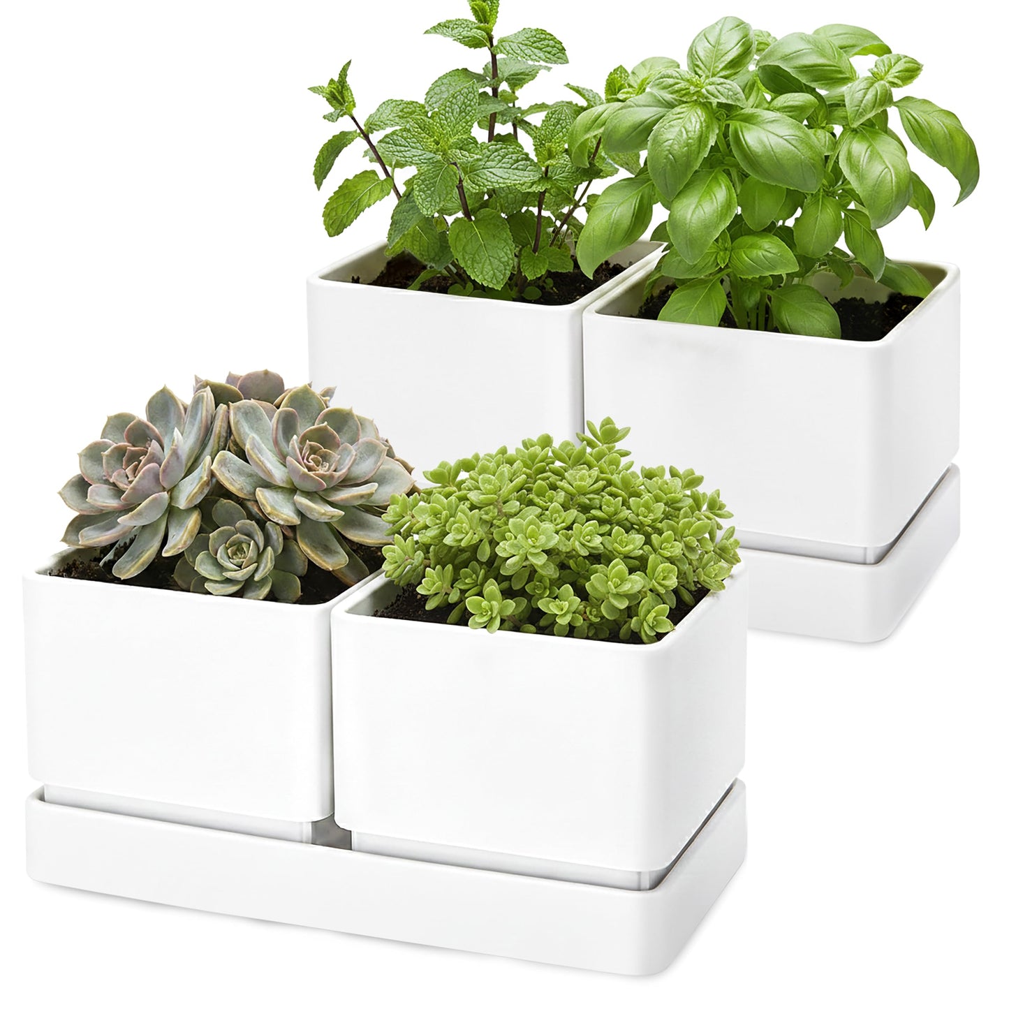 D'vine Dev Indoor Herb Garden Planter Set, Plastic Windowsill Plant Pots with Drainage and Saucer, Indoor Succulent Cactus Vegetable Pot for Balcony, Office, Garden, White, Set of 2, 76-Q-A-2