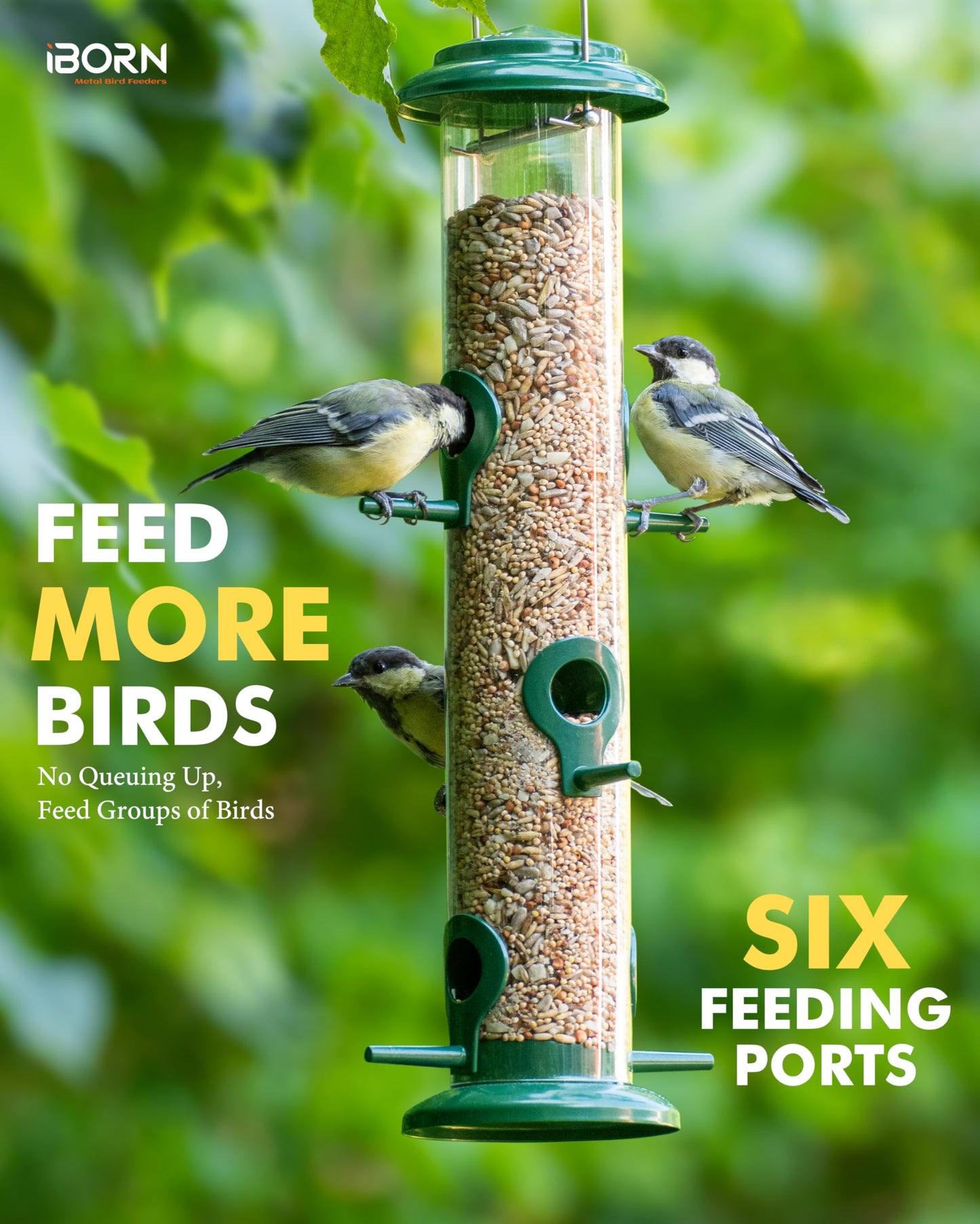 iBorn Metal Bird Feeders 6 Ports Hanging Wild Bird Seed Feeder for Mix Seed Blends, Seed Feeder, Sunflower Heart, Birdbath, Heavy Duty All Metal Green Finishing 15 Inch 6Port,Gift Box