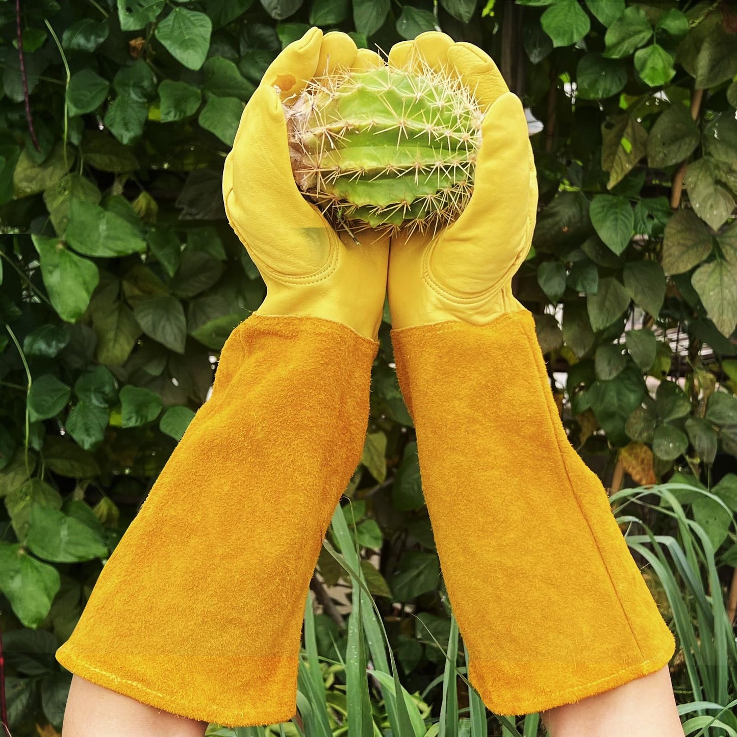 luvaswel Thorn Proof Gardening Gloves, 100% Cowhide Comfortable Breathable for Rose Pruning, Cactus Handling and Gardening