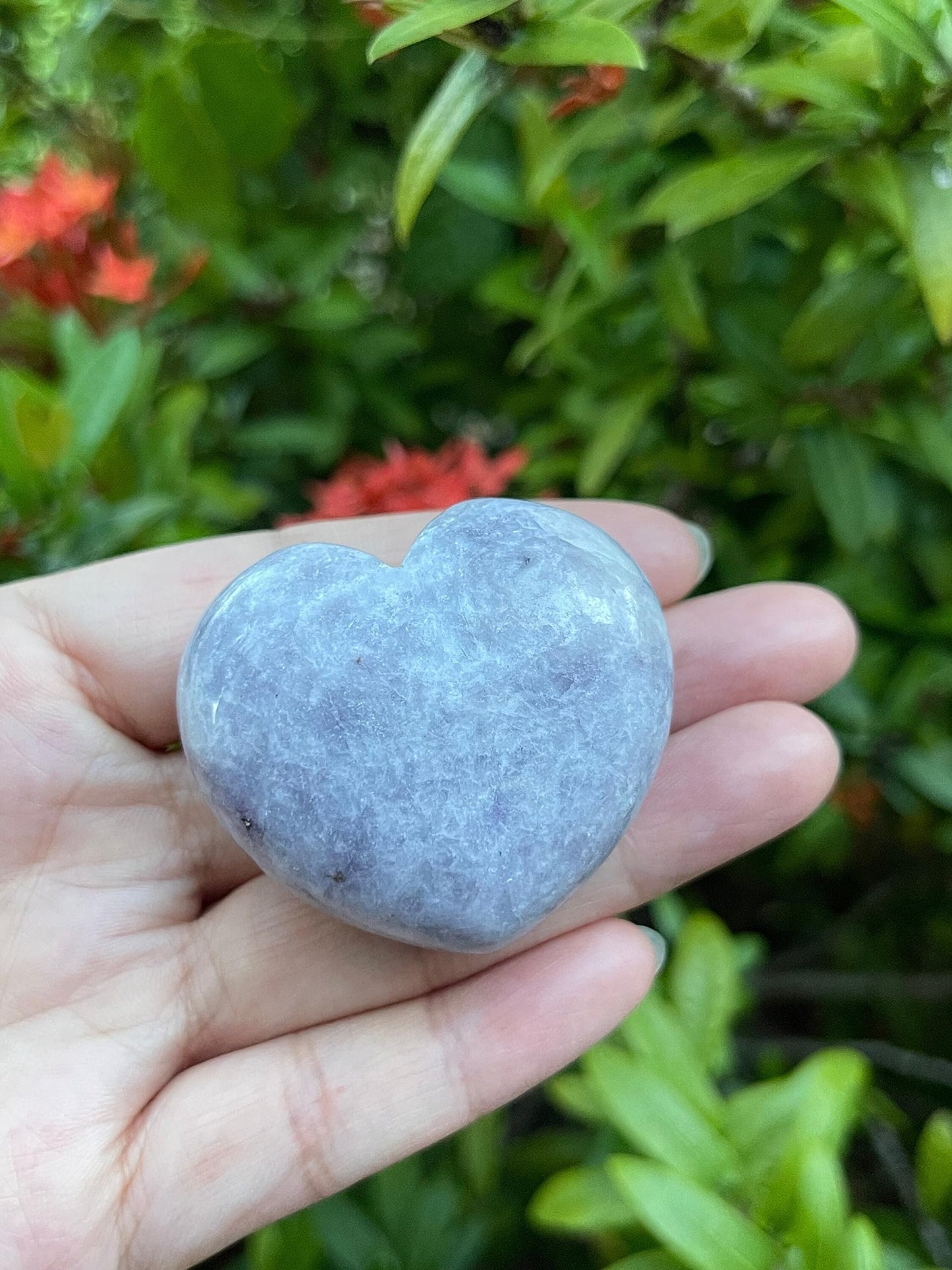 GAF TREASURES Lepidolite Gemstone Hearts, Polished Lepidolite Puffy Hearts, Lepidolite Crystal Palm Stone, Lepidolite Healing Crystal Hearts (1 Heart)