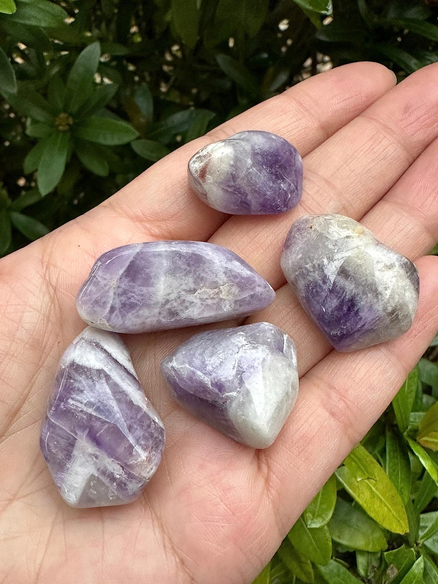 GAF TREASURES 5 Pcs Chevron Amethyst Tumbled Stones, Polished Chevron Amethyst Gemstone, Chevron Amethyst Healing Crystals (Chevron Amethyst)
