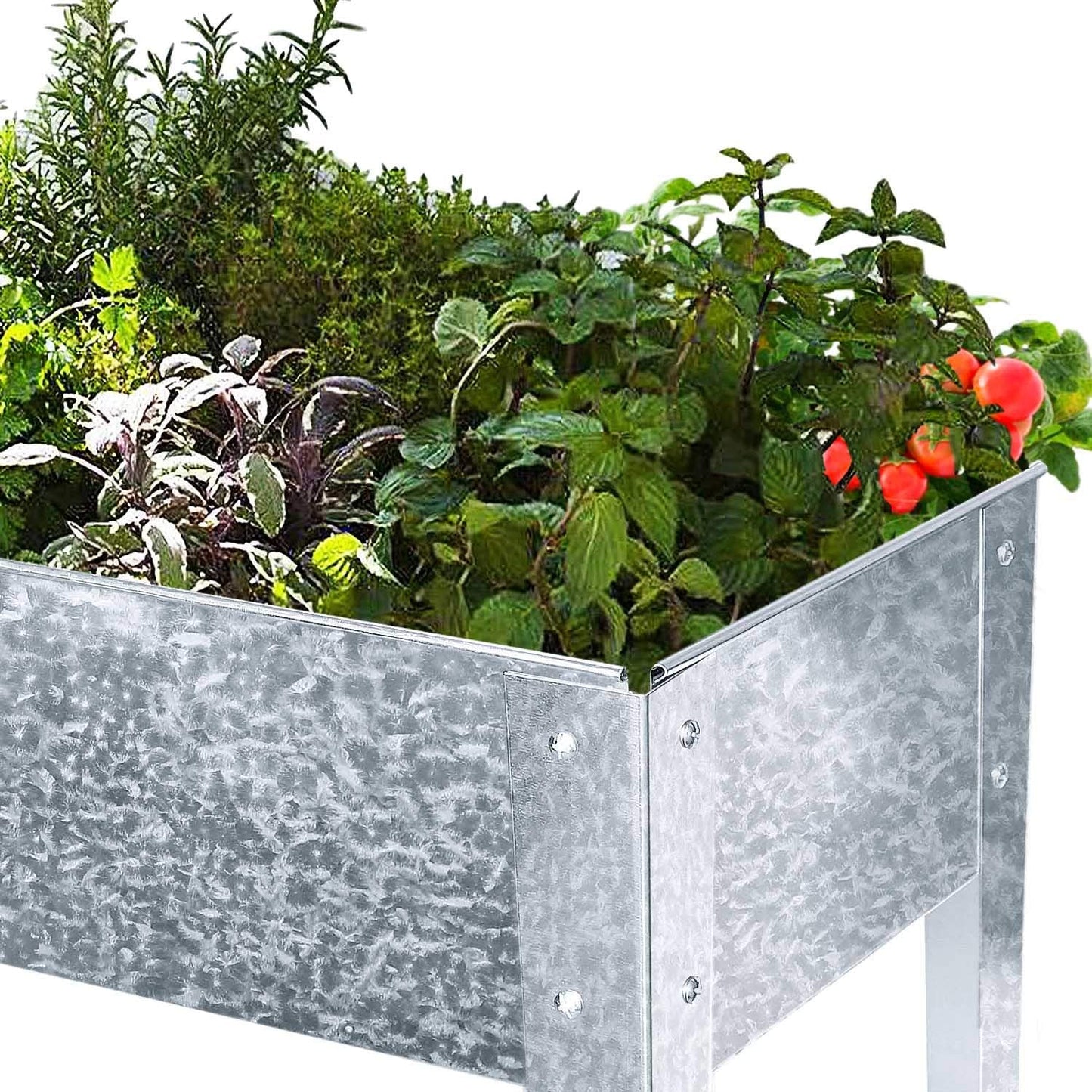 FOYUEE Galvanized Raised Garden Bed for Vegetables Elevated Planter Box with Legs Outdoor Patio Apartment Herb Container Metal