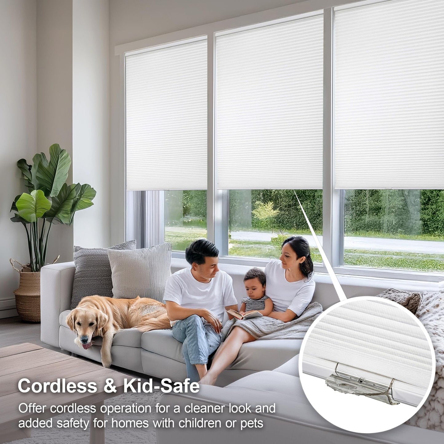 CHICOLOGY Cellular Shades , Window Blinds Cordless , Blinds for Windows , Window Shades for Home , Window Coverings , Cellular Blinds , Door Blinds , Morning Mist, 30"W X 64"H