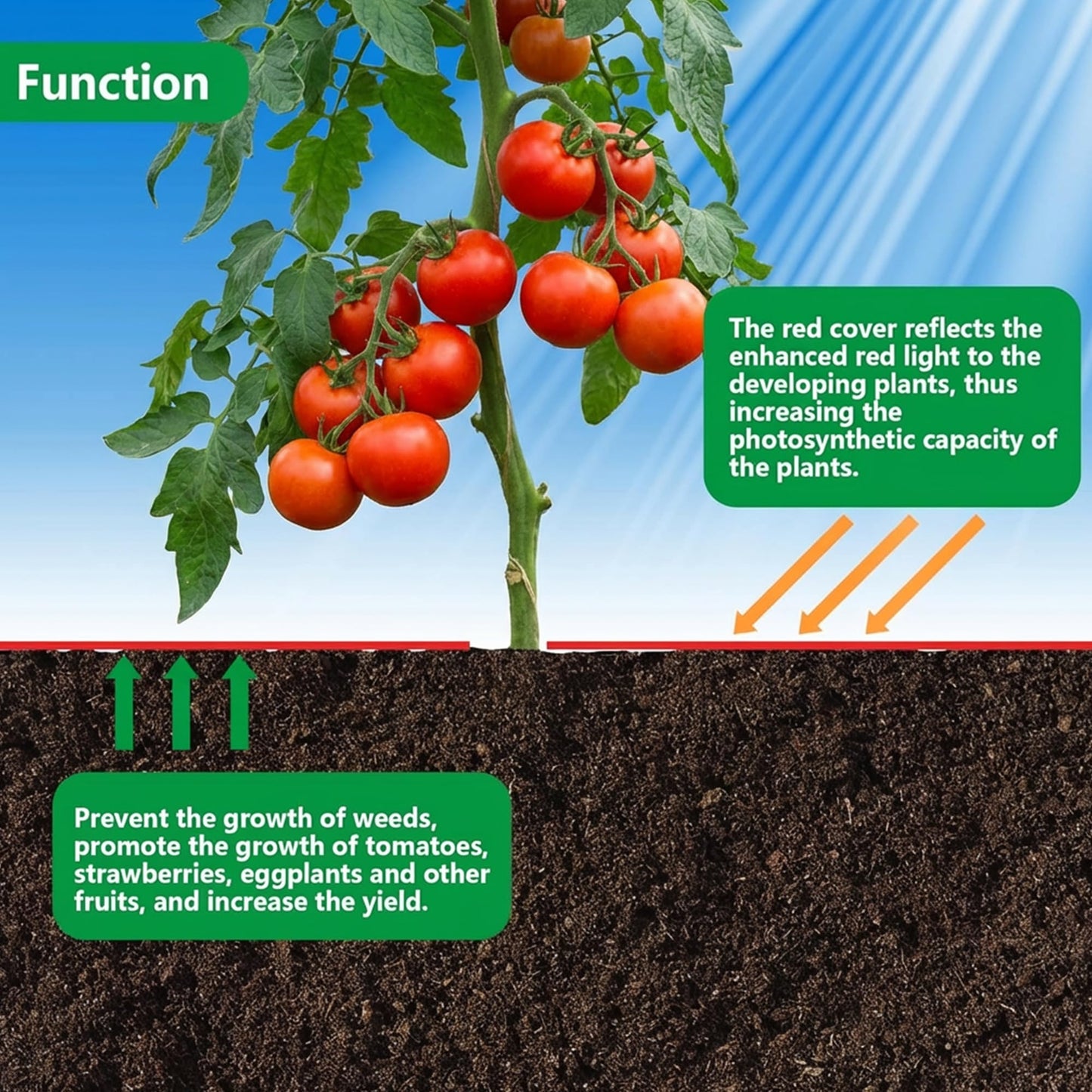 2Pack 4 Mil Embossed Red Mulch Garden Plastic Film, 4ft X 25ft Red Agriculture Crops Grow Film, Planting Mulch Films for Potato, Tomato, Eggplant, Strawberry