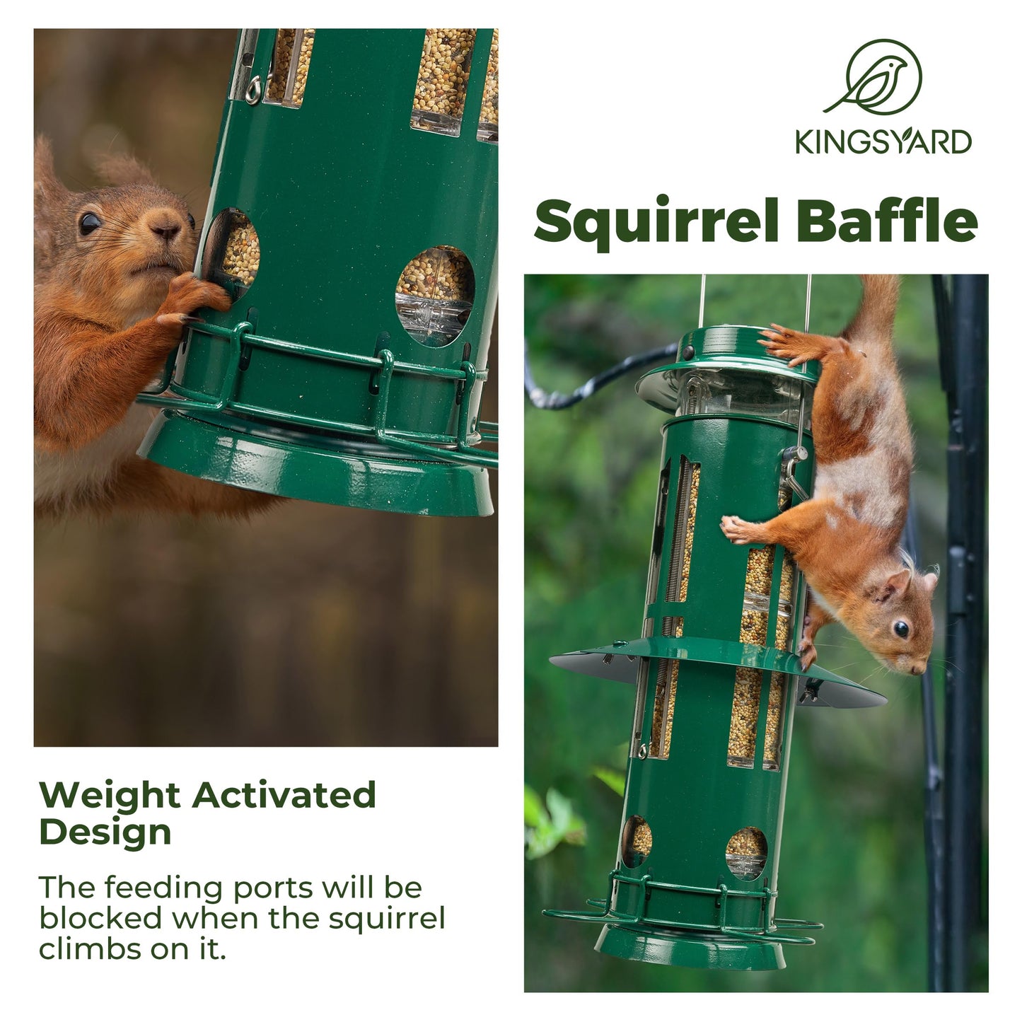 Kingsyard Squirrel Proof Bird Feeders with Weight-Activated Perches, Metal Wild Bird Feeder for Outdoors Hanging, 3 lb Large Seed Capacity, Green