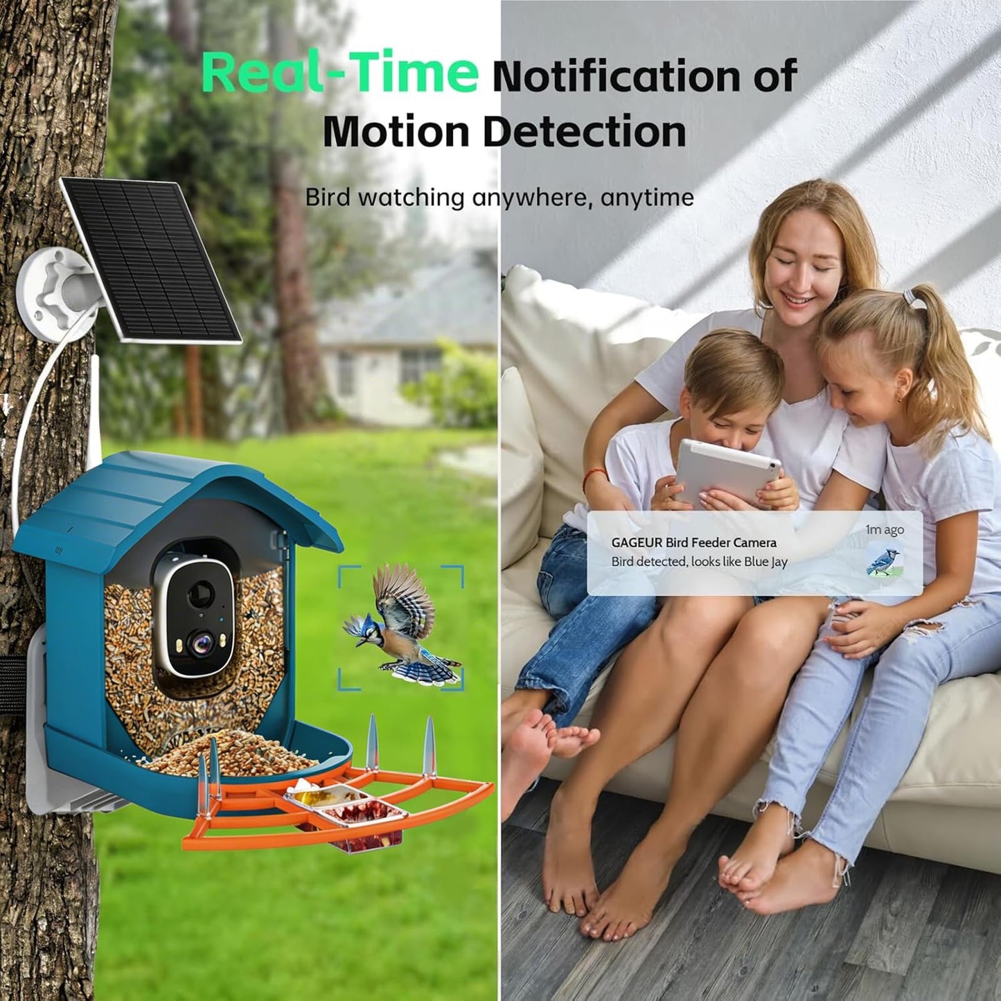 Bird Feeder with Camera, AI Bird Identification, Full HD Live Video, Solar Powered, 2.4Ghz WiFi, Instant Arrival Alerts - Best Gifts for Bird Lover