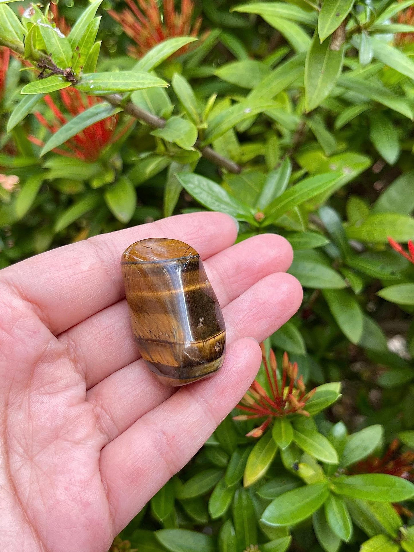 GAF TREASURES 5 Pcs Tiger Eye Tumbled Stones, Polished Natural Tiger Eye Gemstone, Tiger Eye Healing Crystals (Tiger Eye)