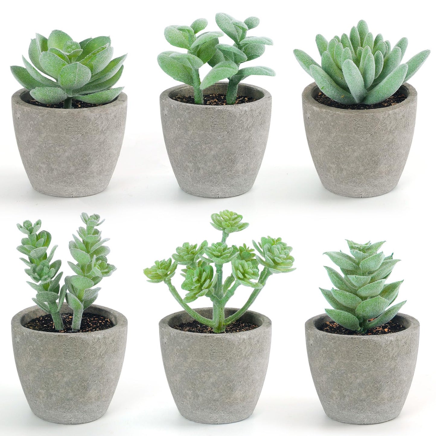 DomeStar Set of 6 Artificial Succulent Plants Potted, Assorted Decorative Faux Succulent Potted Fake Cactus Cacti Plants with Pots