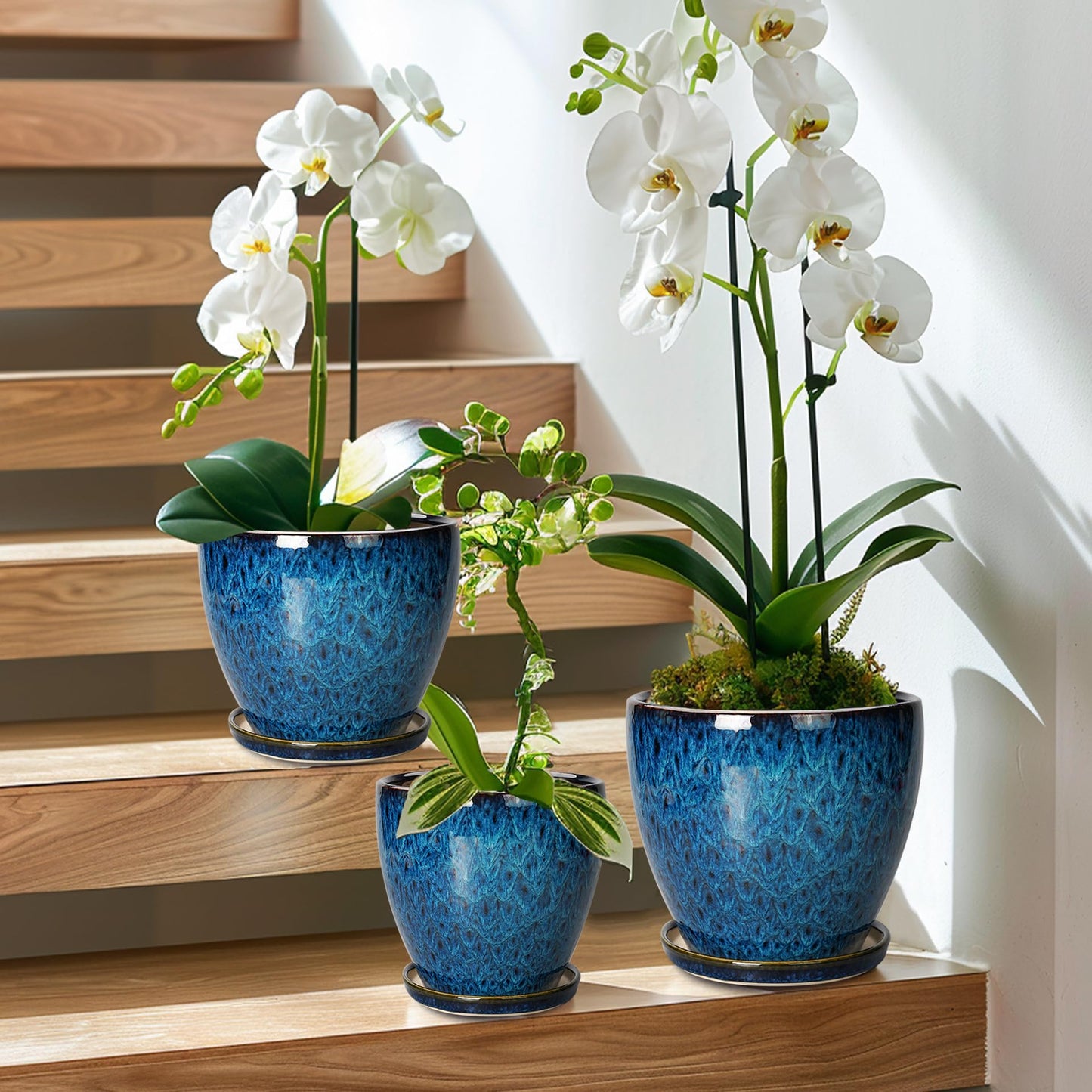 EPFamily Plant Pots Indoor, Ceramic Planters Pots with Drainage Holes and Saucers, 10+8+6 Inch, Set of 3, Round Large Flower Pots for Indoor Outdoor Plants, Blue