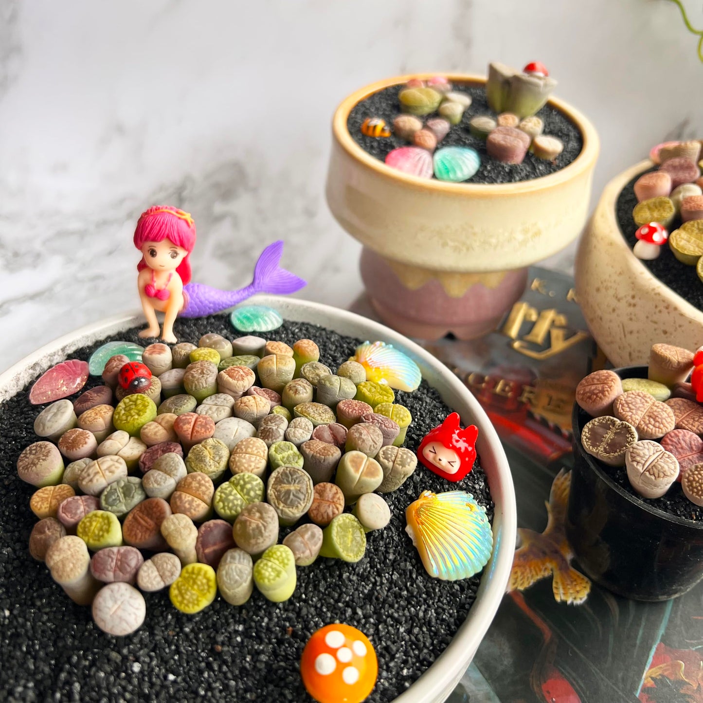 Lithops Random Mix Rare Live Succulent Plants, 30/50/100 Pcs Succulent Live Plant, Bare Root Without Pot Soil, Garden Indoor Office, Friend Plant Lovers Gifts (Normal 100pcs)