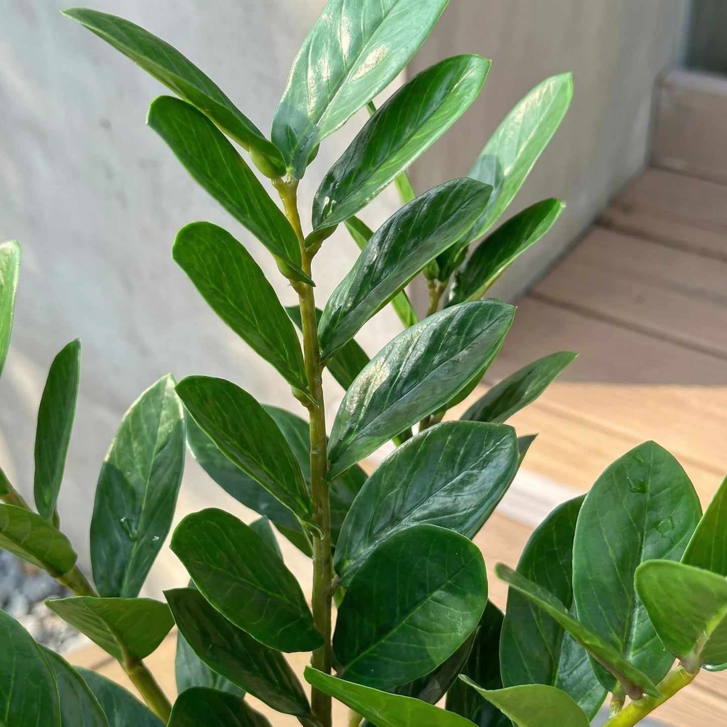 TentoWhan（2Packs Faux Plants Indoor 17" Artificial ZZ Plants in White Pot Fake Potted Zamioculcas Silk Plants for Home Table Decor Bedroom Aesthetic