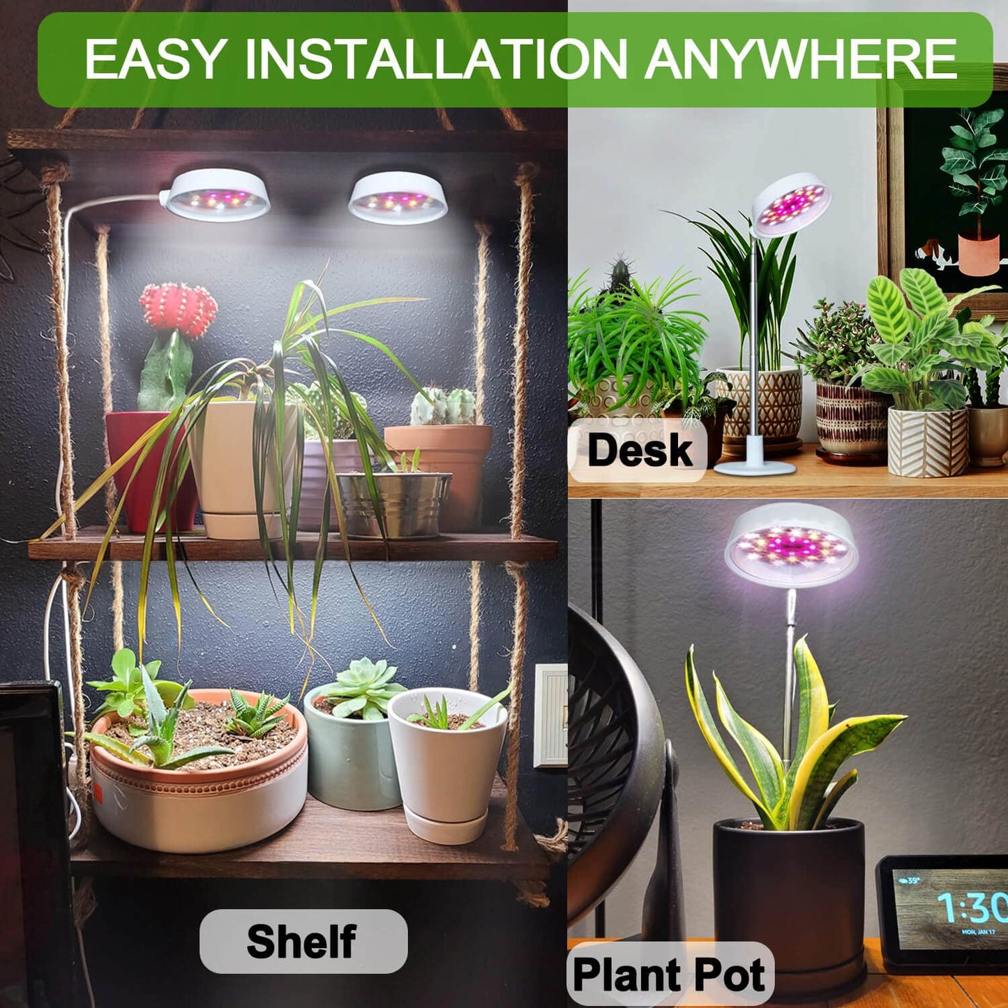 Abonnyc Grow Light Plant Growing Lamp Full Spectrum with White Red LEDs for Indoor Plants, Height Adjustable 7-22 Inch,Auto On Off Timing Idea for Small Plant Light,Seedlings, Plant Shelf