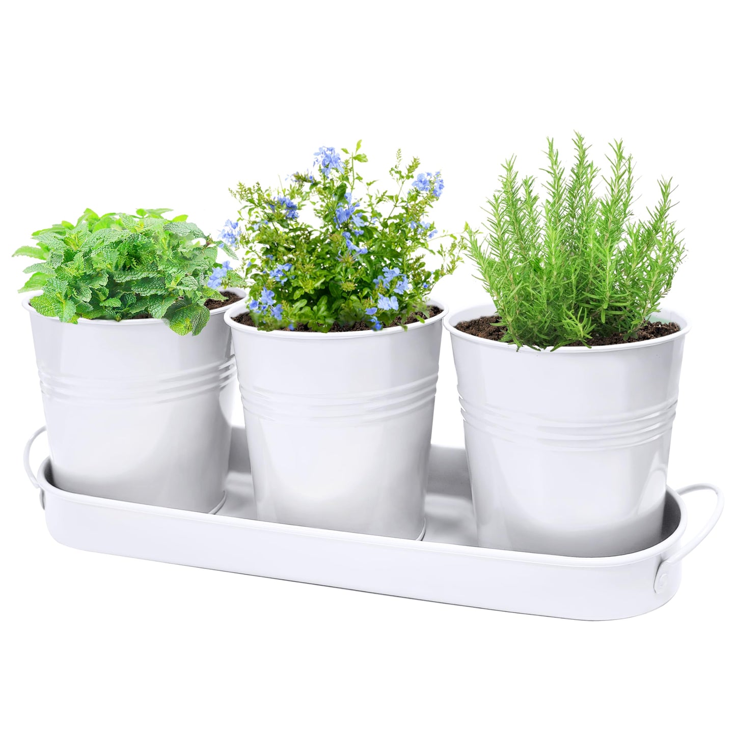 SORANGEUN Small Pots for Plants, 3-Pack 4.7 Inch White Metal Herb Pots, Mini Windowsill Planter for Succulent, Cactus, Basil, Mint, Rosemary