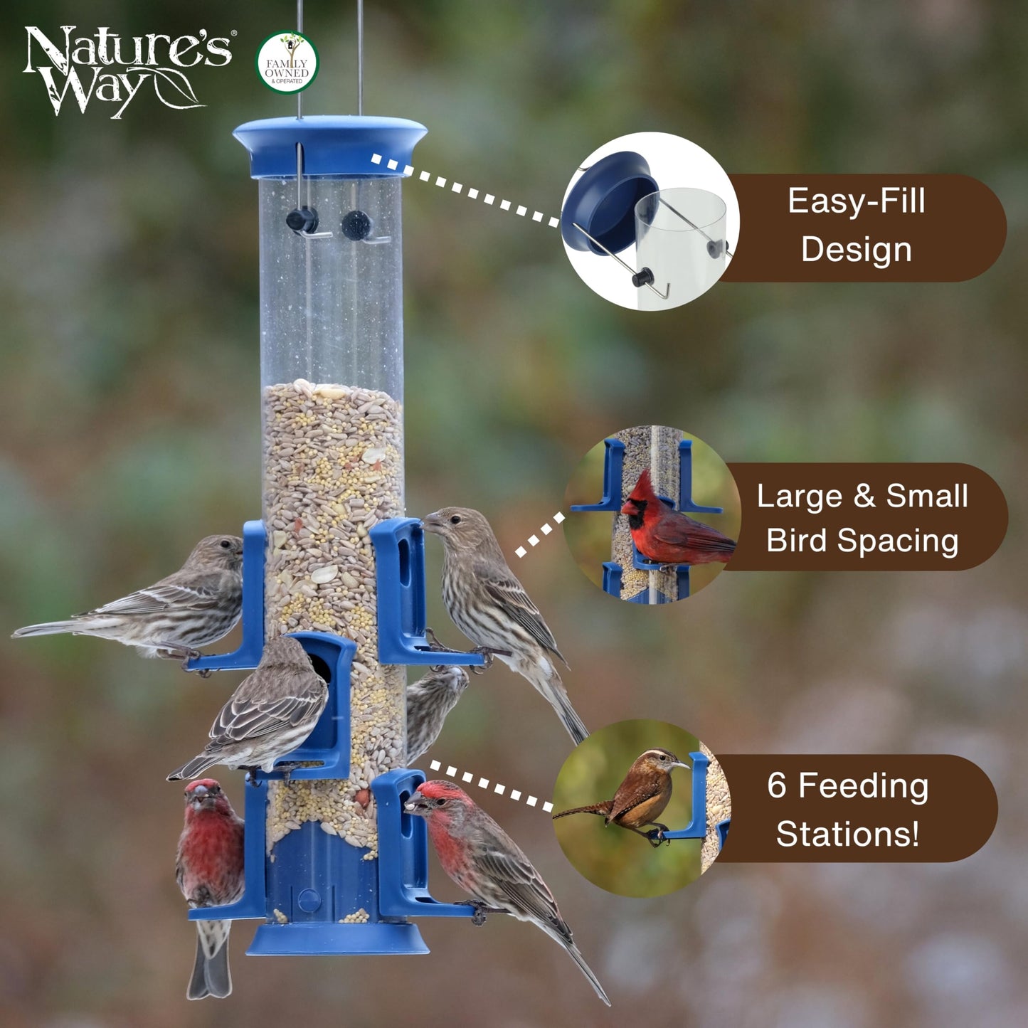 Nature's Way Plastic Seed Tube Bird Feeder for Wild Birds and Outdoor Décor, 1.2 Quart Capacity, Six Ports, Easy-Clean Design, Blue