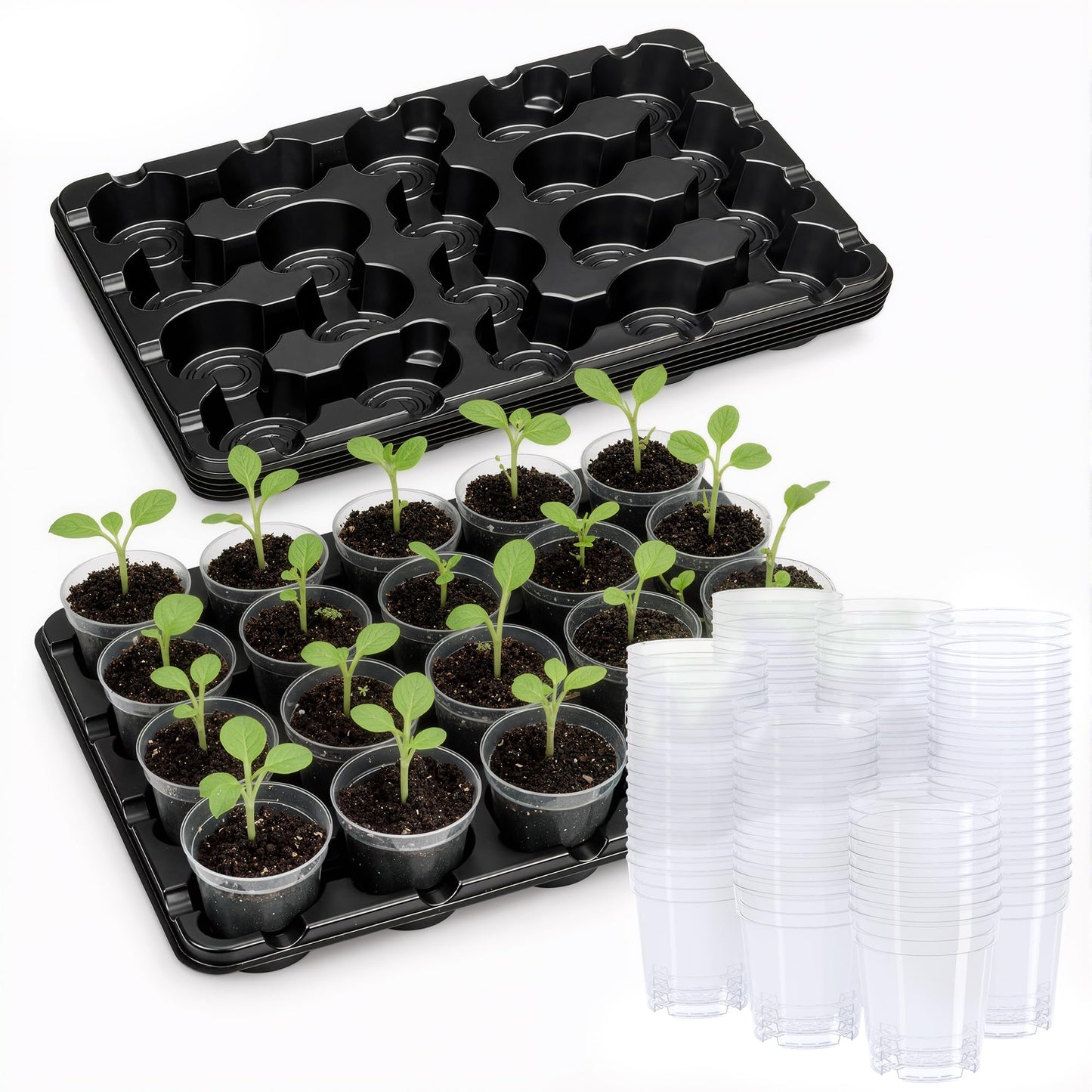 homenote 3 Inch Seed Starting Trays with Clear Nursery Pots, 5-Pack 20-Cell Seedling Starter Trays & 3" Nursery Pots 100 Pcs with Drainage, Plant Starter Germination Trays for Indoor Outdoor Growing