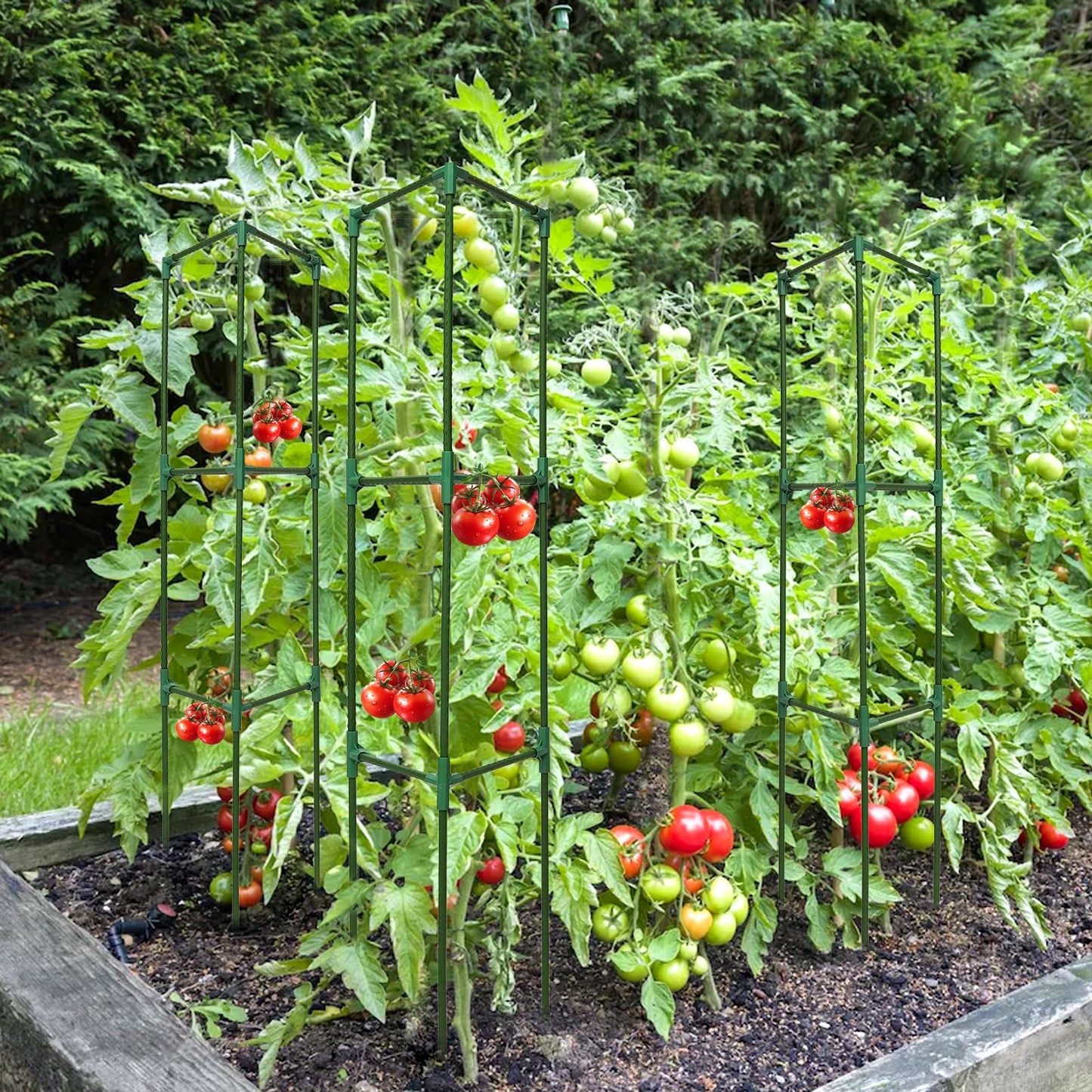Tiuire Tomato Cages for Garden,2 Pack 50in Tall Tomato Plant Support Stakes Adjustable Heavy Duty Steel Plant Tower Stakes, Updated Cucumber Trellis Garden Cages for Climbing Plants Vegetable Flowers