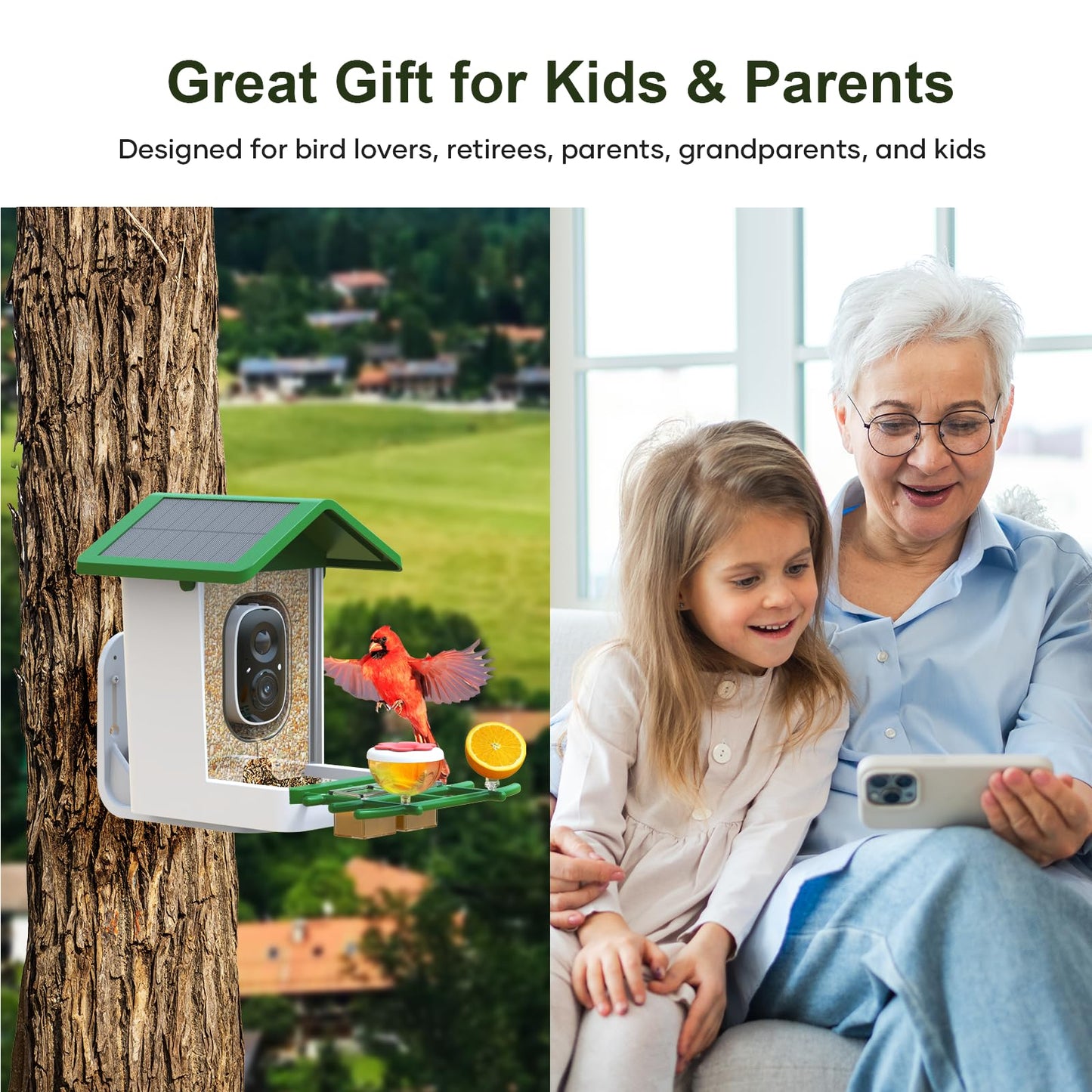 Smart Bird Feeder with Camera: Solar Powered Birdhouse with AI Recognition, Wireless Bird House with Camera for Outdoor, Unique Birthday Gifts for Mom Dad