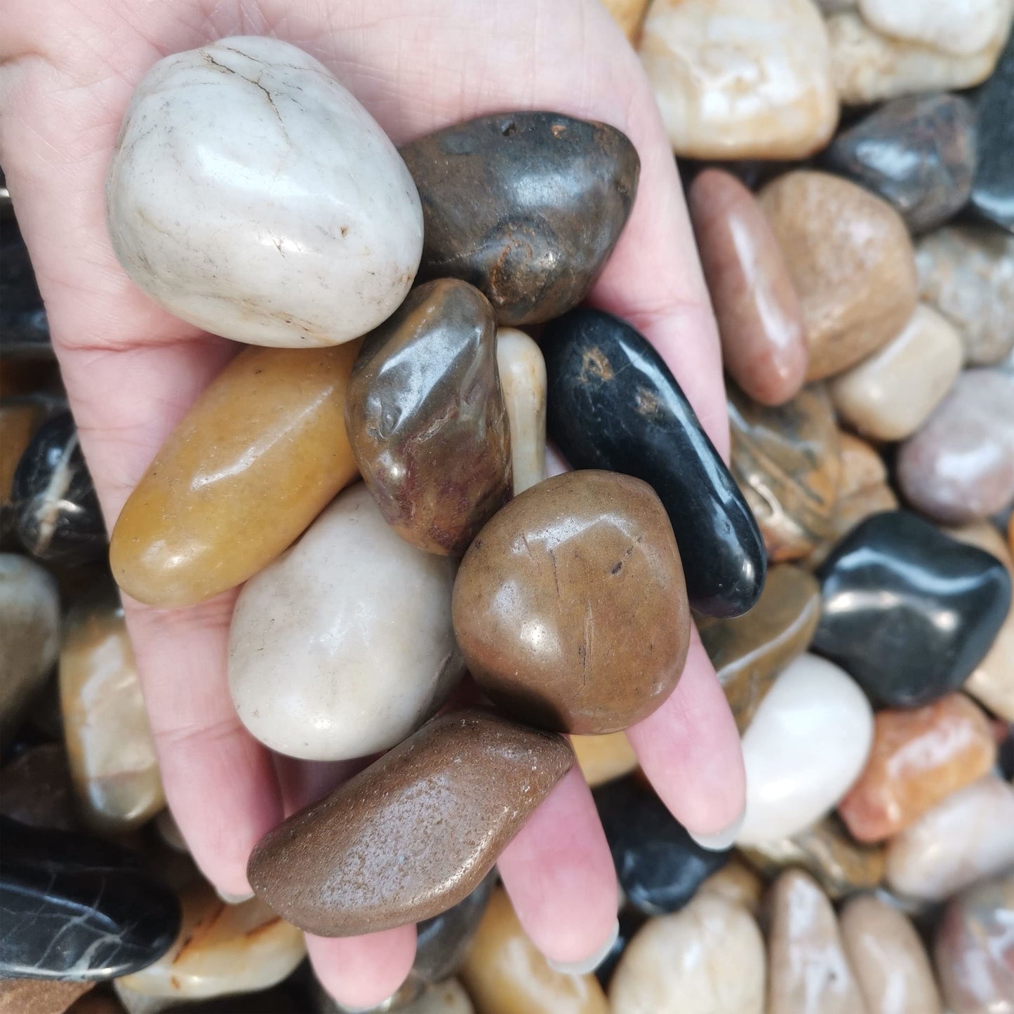 River Stones, Plants, Gardens, Landscapes, Succulents, Highly Polished Decorative Pebbles in Shapes and Sizes from 1-3 inches. (5.7LB, 1)