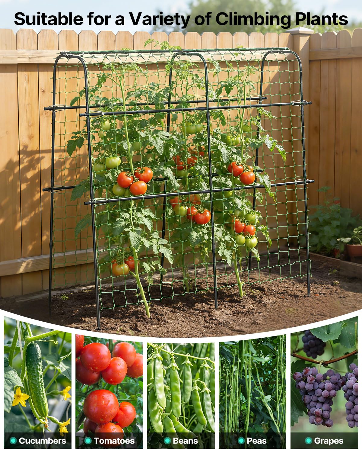 Suteck Cucumber Trellis for Raised Bed – 63" Tall Arch U-Shaped Metal Garden Trellis for Climbing Vegetables, Easy Assembly Plant Support for Home Gardeners