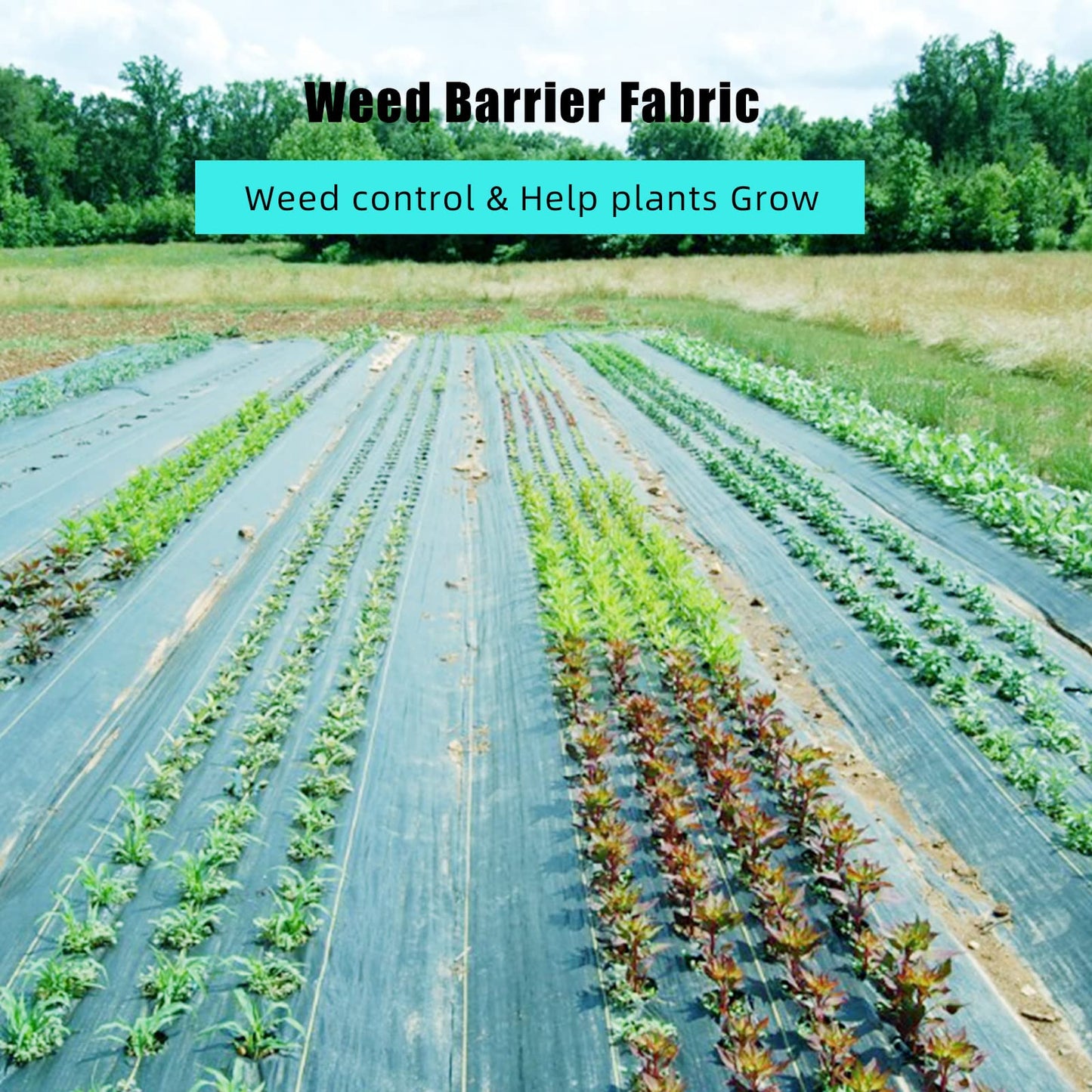 PeakPursuit 6.5ft x 330ft Premium Weed Barrier Landscape Fabric, 3.2 oz Heavy Duty, Weed Control Fabric, High Permeability, Good for Flower Bed, Driveway Fabric and Ground Cover