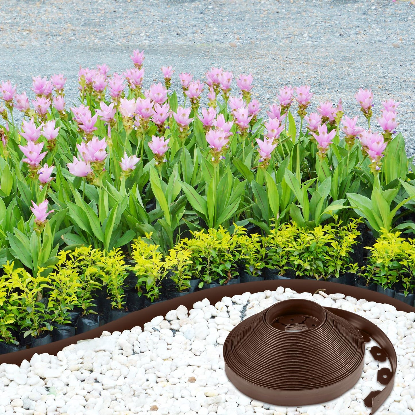 Sasylvia 2.5'' x 200' Landscape Edging Kit Edging Border Coil Include 120 Anchoring Spikes 10 Connectors Plastic Garden Border for Lawn Garden Grass Yard Home(Brown)