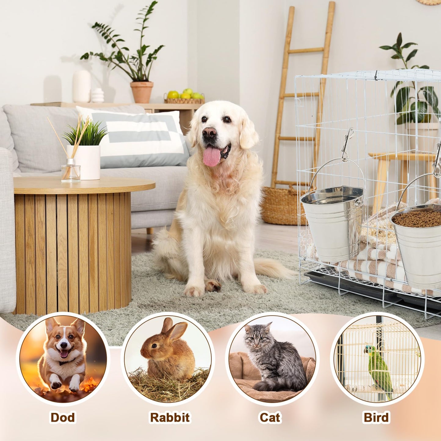 Mumufy 6 Set 2 Quart Stainless Steel Flat Side Bucket Durable Water Pails with Double Ended Snaps Small Metal Bucket Flat Back Water Pails for Dogs Cats Kennels Cages Fences Pet Container